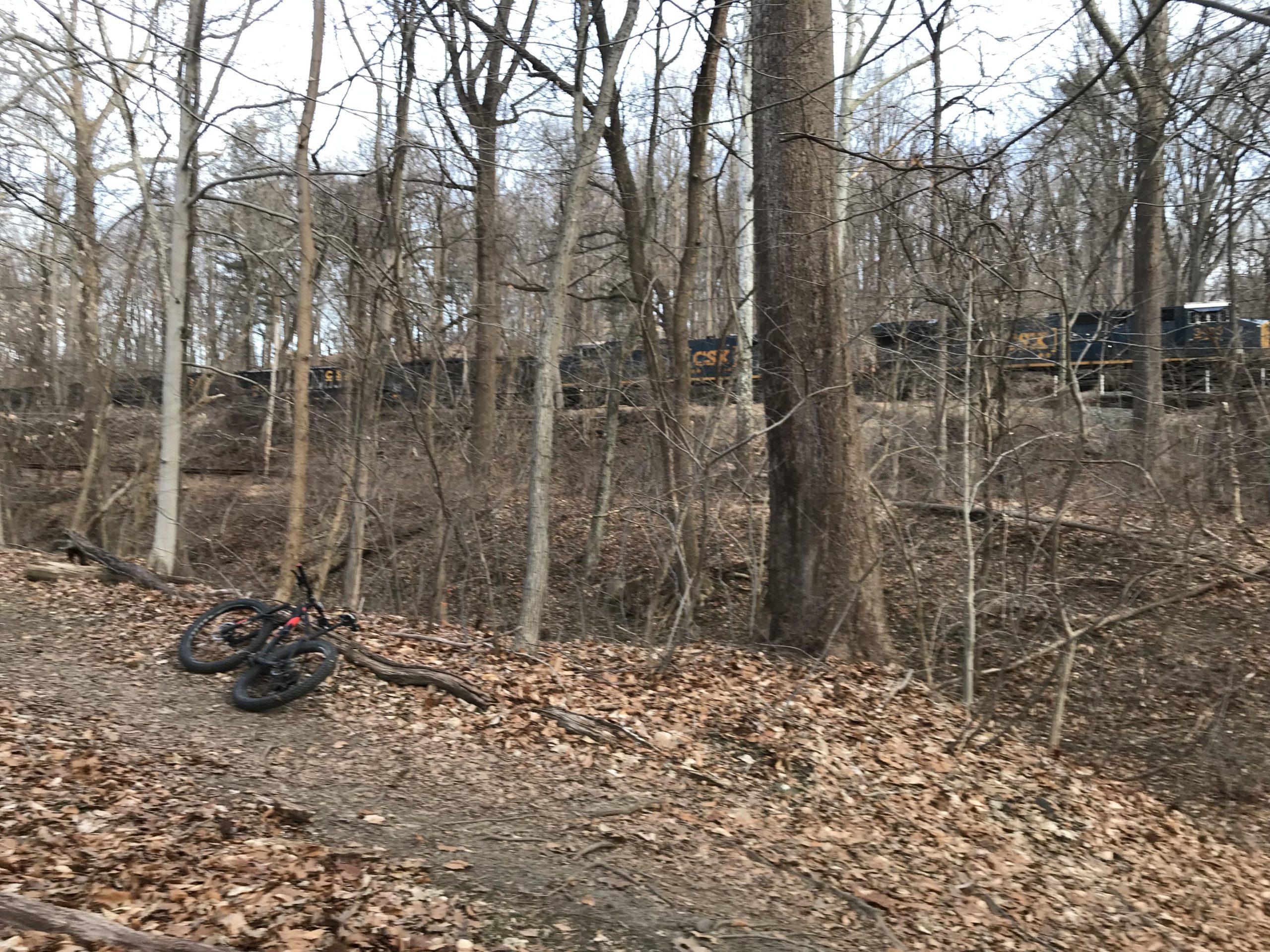 A black bicycle rests on a wooded trail covered in fallen leaves, with bare trees surrounding the scene. In the background, a freight train travels along a track running parallel to the trail. The atmosphere is serene, indicative of a natural setting in late autumn or early winter. Patapsco Valley State Park (Avalon Area) mountain bike trail.