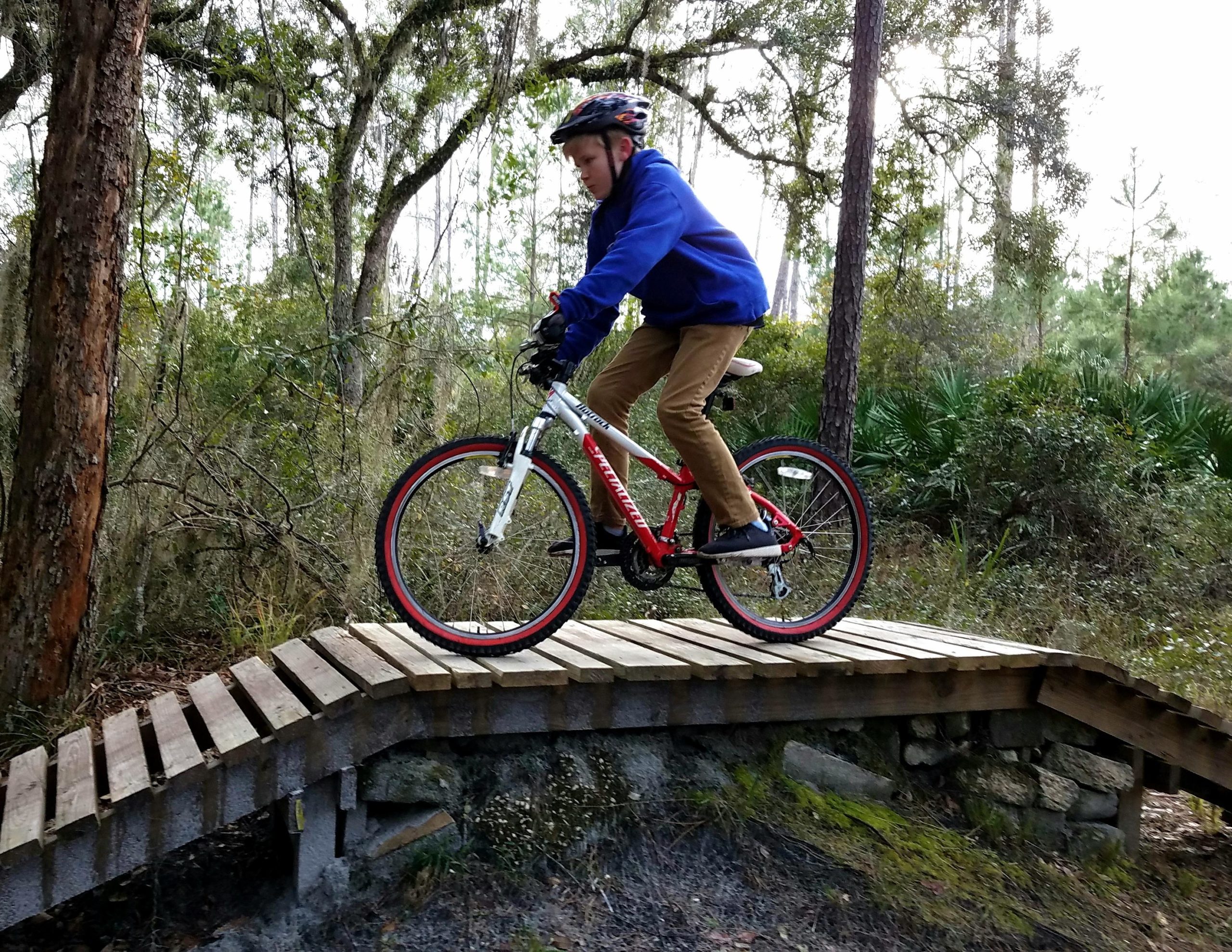 A young boy riding a bicycle over a wooden ramp in a wooded area. He is wearing a helmet and a blue hoodie, with brown pants, while skillfully balancing on the bike as he navigates the trail. Trees and greenery surround the scene, suggesting an outdoor adventure. Nocatee mountain bike trail.
