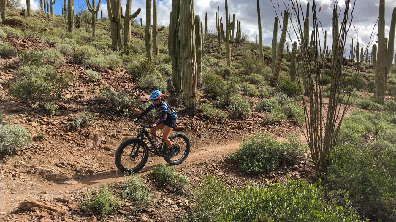 A person riding a mountain bike along a dirt trail surrounded by cacti and desert vegetation under a cloudy sky. Sweetwater Preserve mountain bike trail.