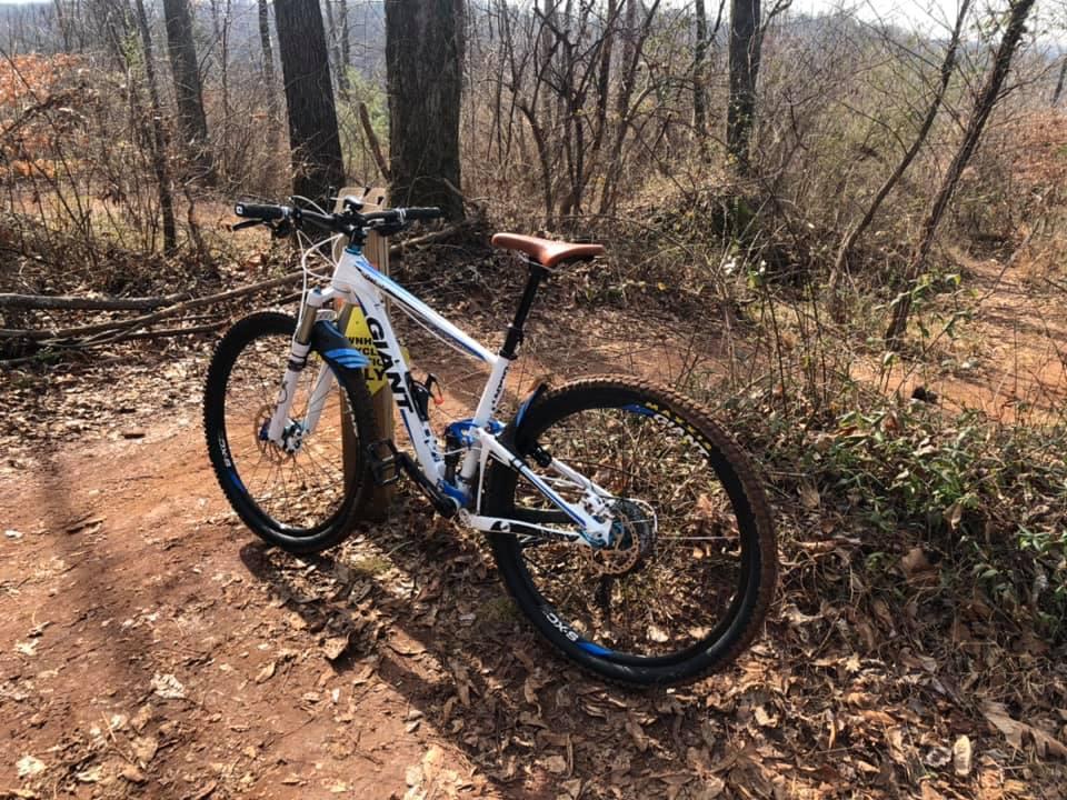 Giant Anthem X 29er 1: A white mountain bike with blue and black accents is parked on a dirt trail surrounded by trees. The bike features a brown saddle and is positioned near a warning sign in a natural outdoor setting with fallen leaves on the ground.