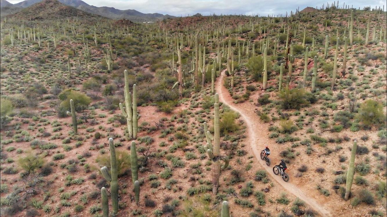 Aerial view of two mountain bikers riding on a dirt trail through a desert landscape filled with tall cacti and sparse vegetation, surrounded by rugged hills under a cloudy sky. Sweetwater Preserve mountain bike trail.