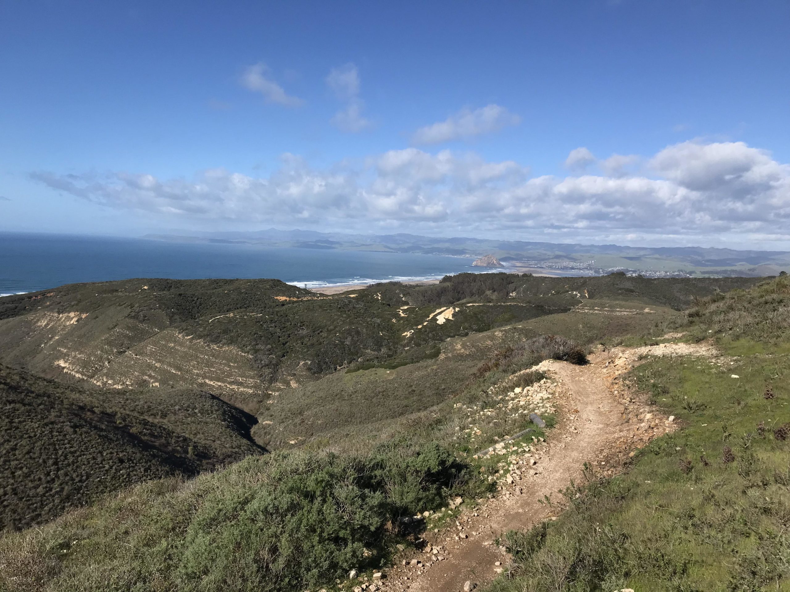 A scenic view of rolling green hills leading down to the ocean, with a sandy beach visible in the distance under a partly cloudy sky. A winding dirt path cuts through the landscape, suggesting a hiking trail. Montana De Oro mountain bike trail.