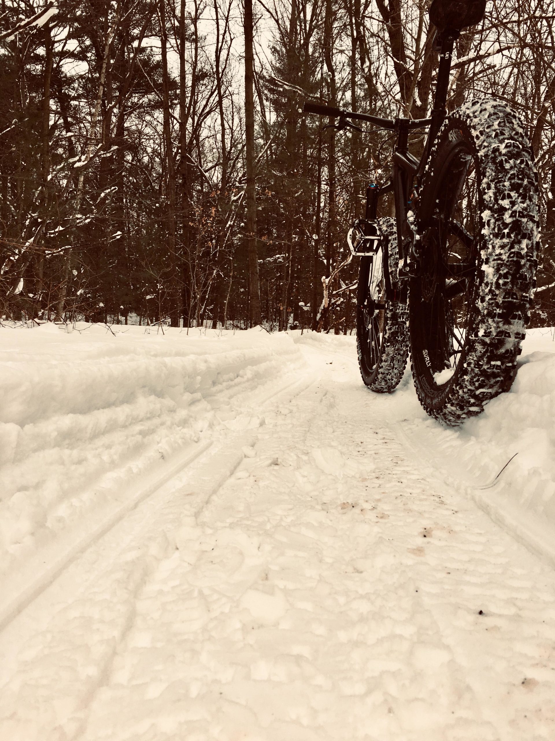 A close-up view of a fat bike resting on a snow-covered trail, surrounded by bare trees in a winter forest setting. The bike's large tires leave deep tracks in the freshly fallen snow. Turkey Point Provincial Park mountain bike trail.