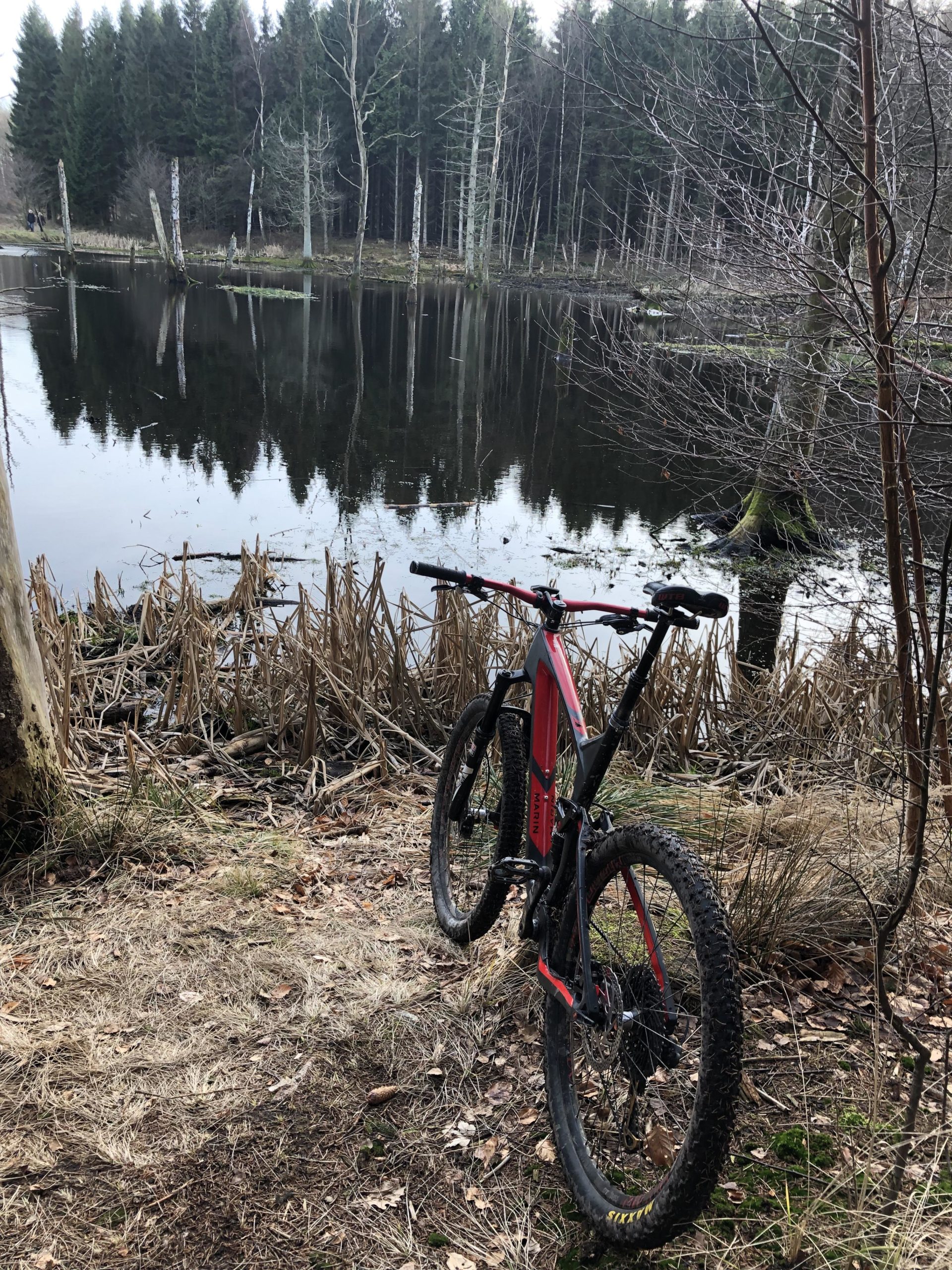 A mountain bike leaning against the edge of a serene pond, surrounded by tall trees and natural greenery. The reflection of the trees is visible on the still water, with dry grass and reeds in the foreground. Roed rute mountain bike trail.