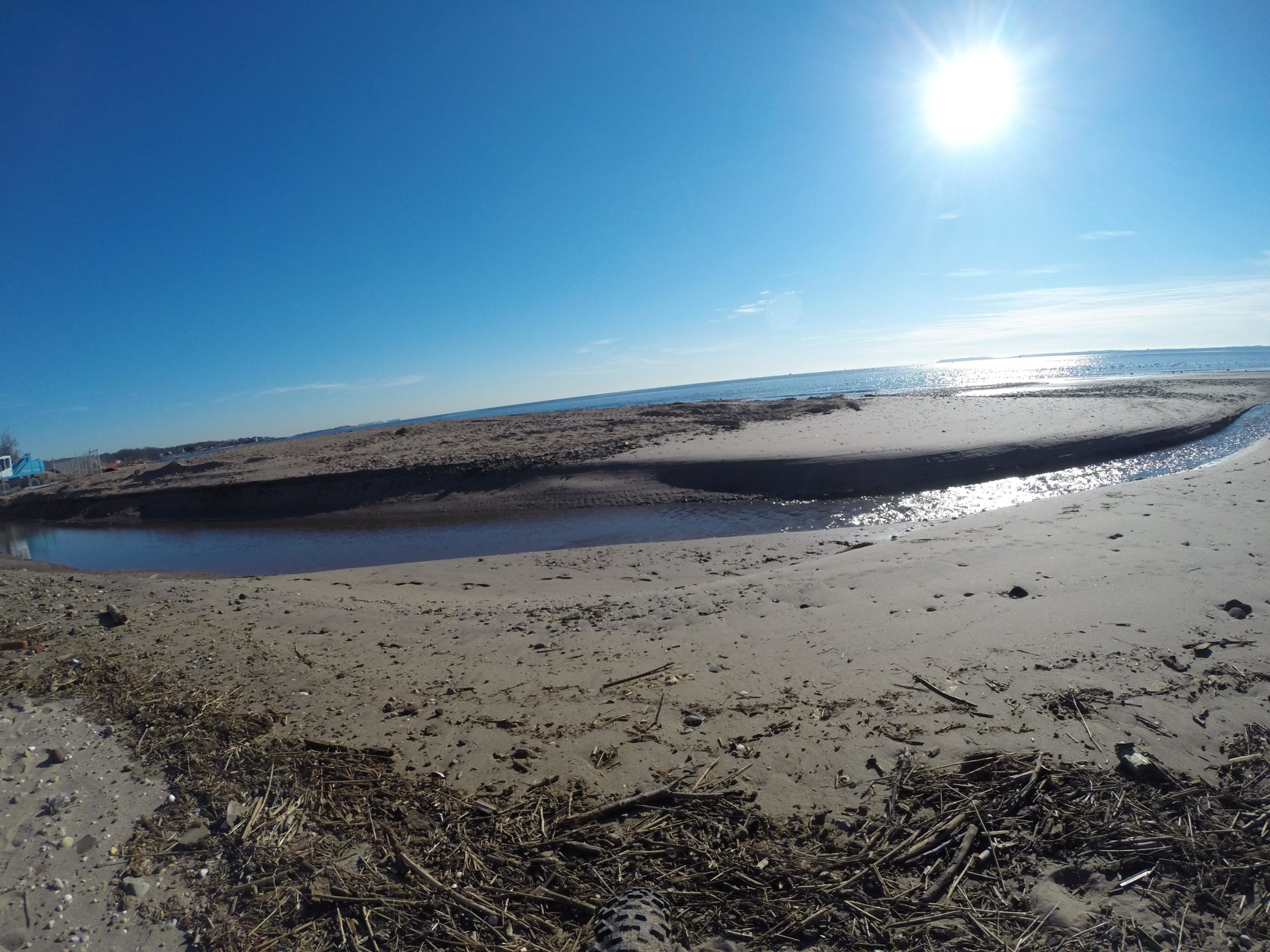 A serene beach scene featuring a sandy shore with a gentle curve, a small waterway reflecting sunlight, and a clear blue sky. The sun shines brightly overhead, creating a sparkling effect on the water, while bits of driftwood and natural debris are scattered across the sand. Wolfes Pond park mountain bike trail.