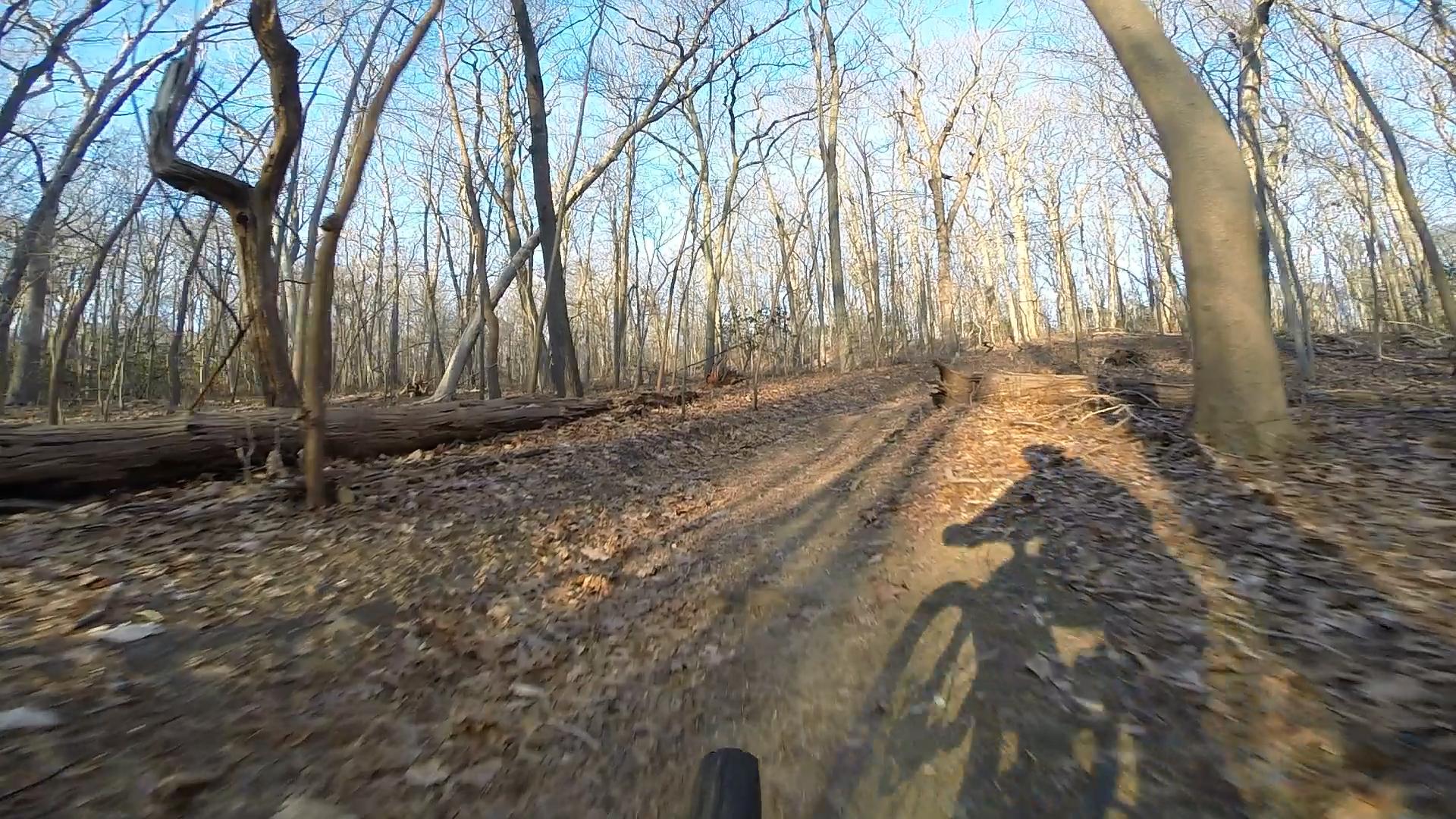 A mountain biker riding along a dirt path in a wooded area with bare trees and fallen leaves. The sunlight casts shadows on the ground, creating a serene atmosphere of an early winter day. Hartshorne Woods Park mountain bike trail.