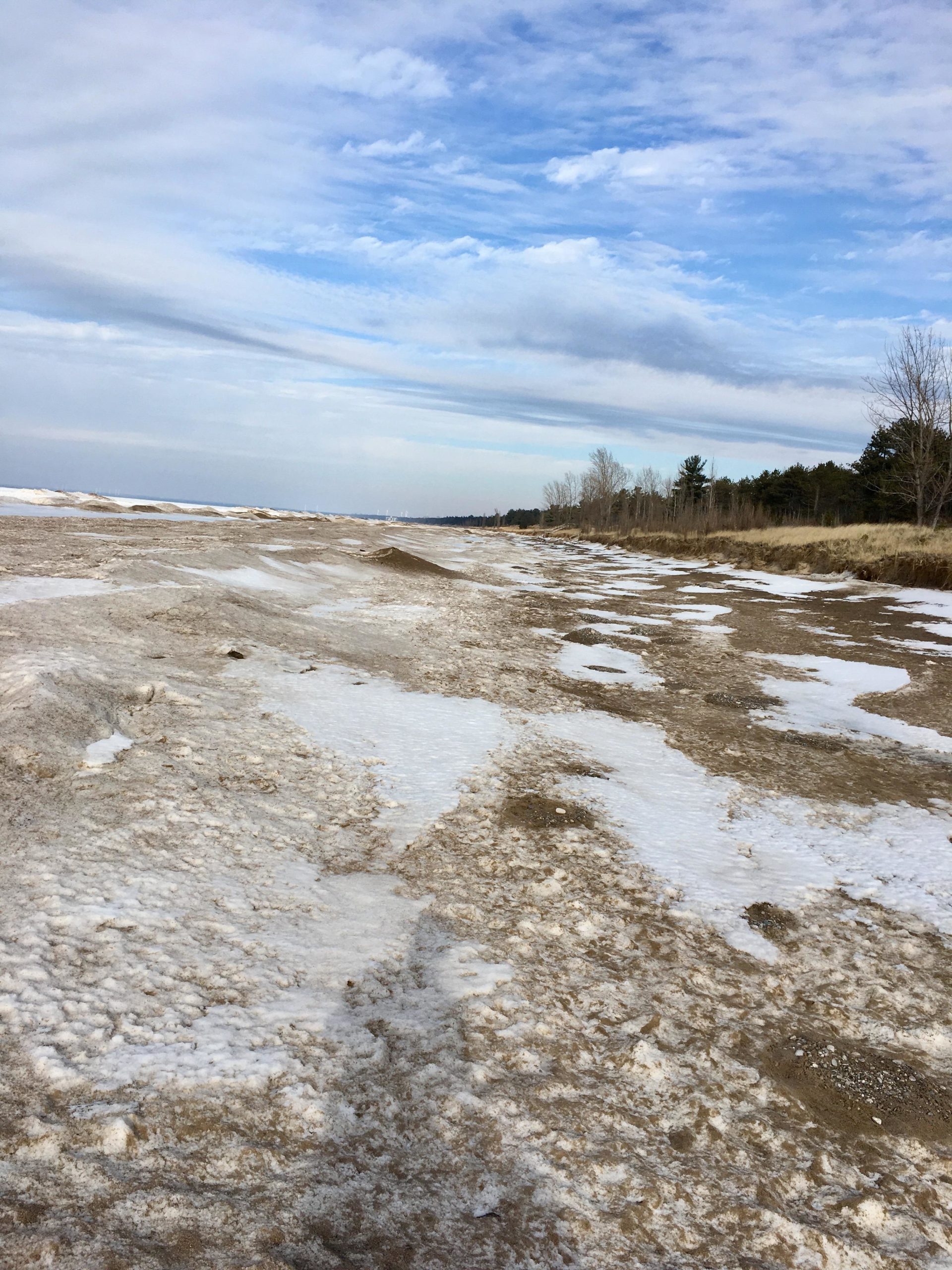 A wide view of a sandy beach covered with patches of snow, bordered by sparse trees and a cloudy sky above. The landscape extends towards the horizon, where the beach meets a calm body of water. Pinery Provincial Park mountain bike trail.