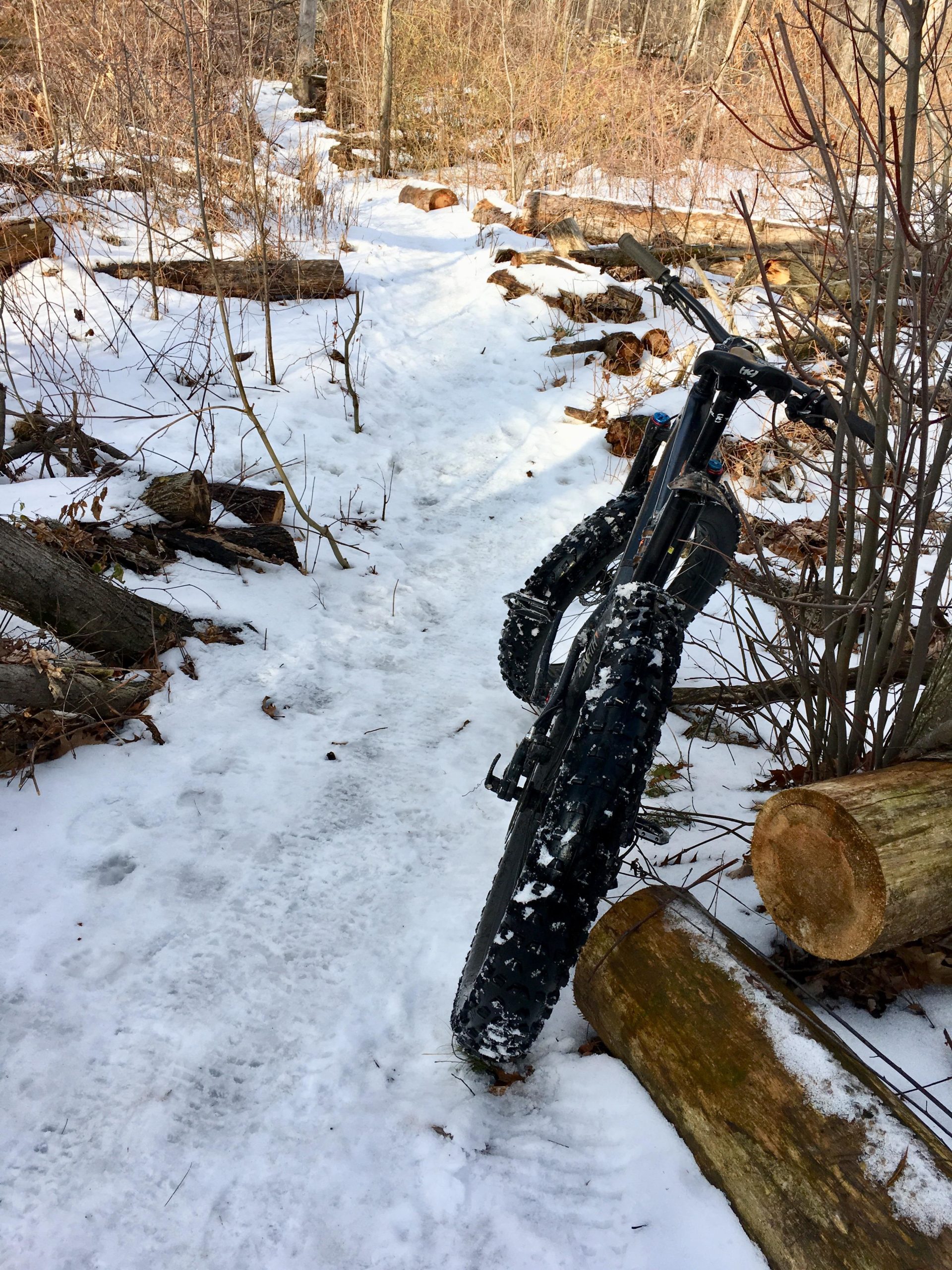 A fat bike with wide tires rests against a log on a snowy trail surrounded by bare trees and fallen branches. The path is partially covered in snow, showing tracks from previous bikers. Pinery Provincial Park mountain bike trail.