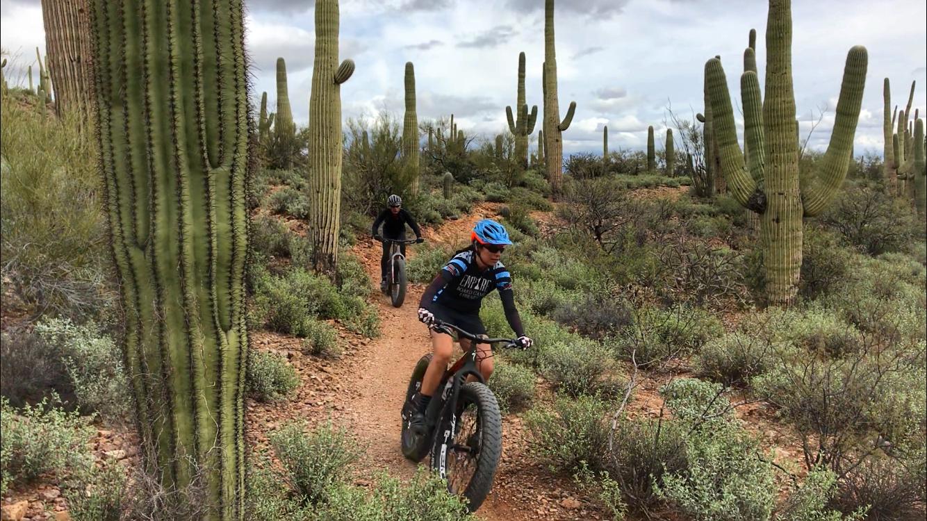 Two mountain bikers ride along a dirt trail surrounded by tall saguaro cacti and desert vegetation. The landscape features a mix of green bushes and rocky terrain, under a cloudy sky. One rider is in the foreground, wearing a blue helmet and black gear, while the other is further back on the trail. Sweetwater Preserve mountain bike trail.