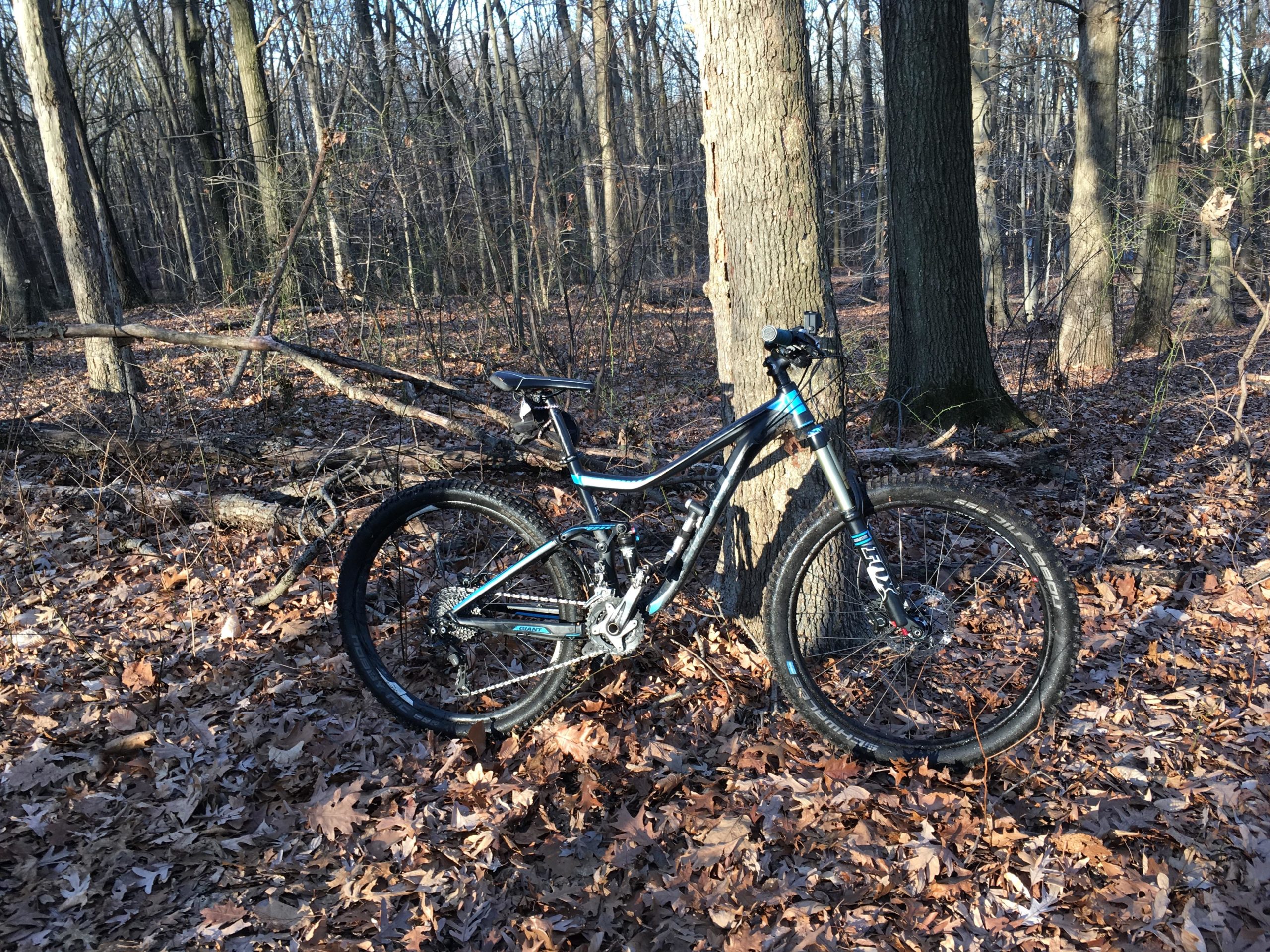 A mountain bike leaning against a tree in a wooded area covered with fallen leaves. The scene depicts a natural setting with bare trees and scattered branches, suggesting a tranquil outdoor environment suitable for biking or hiking. Wolfes Pond park mountain bike trail.