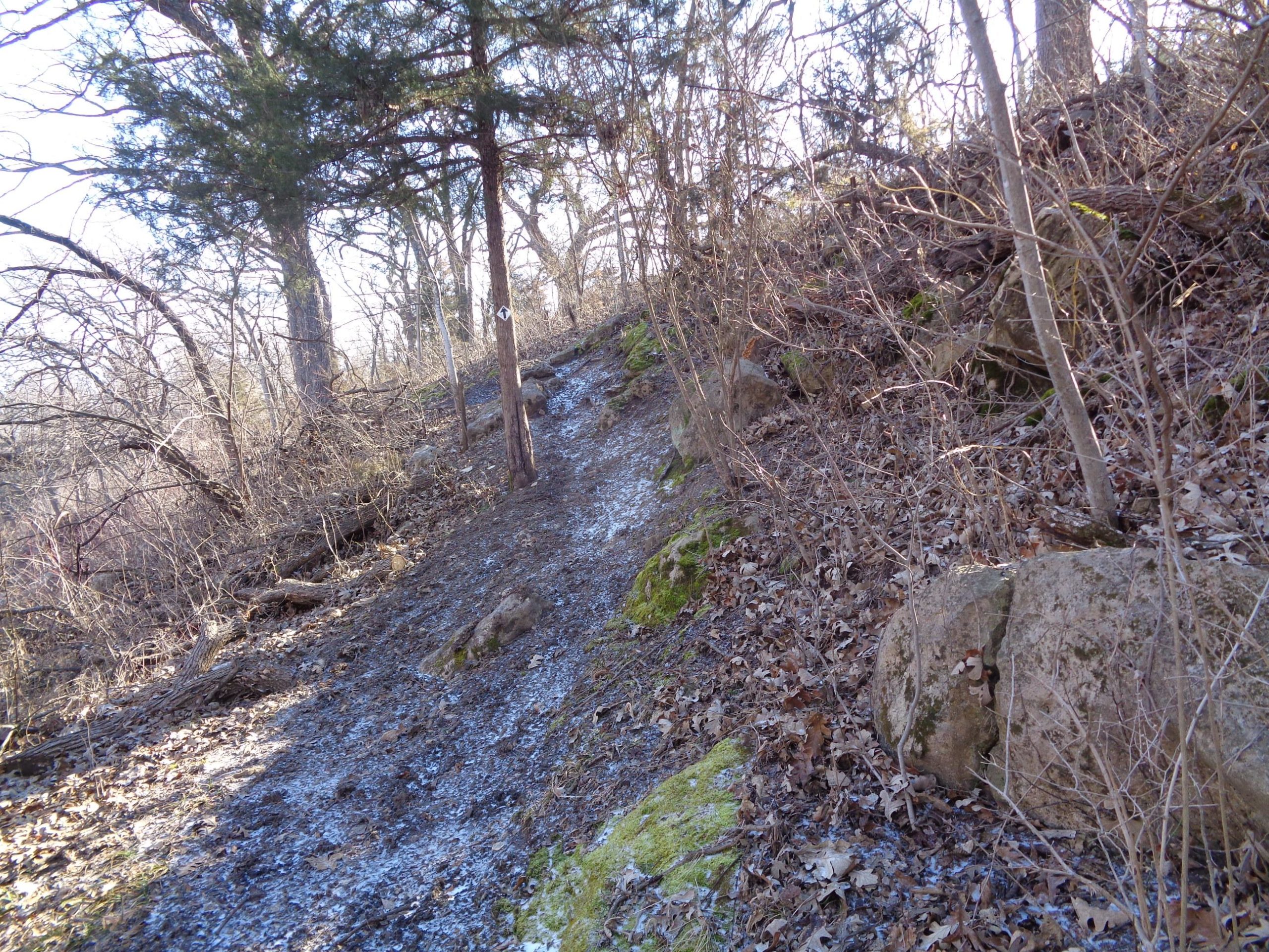 A winding dirt path surrounded by bare trees and rocks, with patches of exposed soil and fallen leaves. A trail marker is visible along the path, indicating a hiking trail in a wooded area. The scene is illuminated by natural light on a clear day. Santa Fe Lake Trail mountain bike trail.