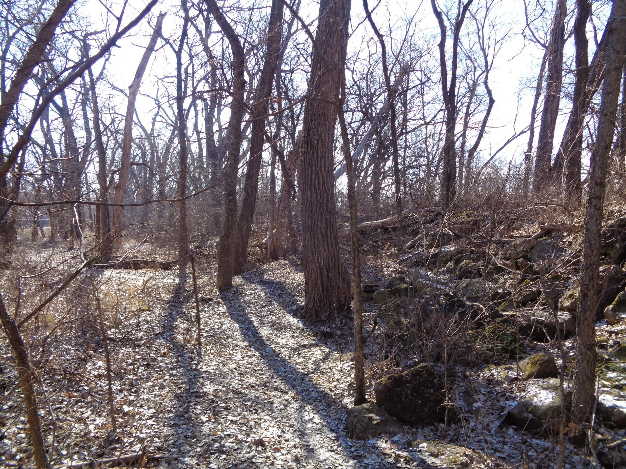 A narrow, winding path through a wooded area during early spring. The trees are bare, with sunlight filtering through the branches casting shadows on the ground covered in dry leaves and rocks. Santa Fe Lake Trail mountain bike trail.