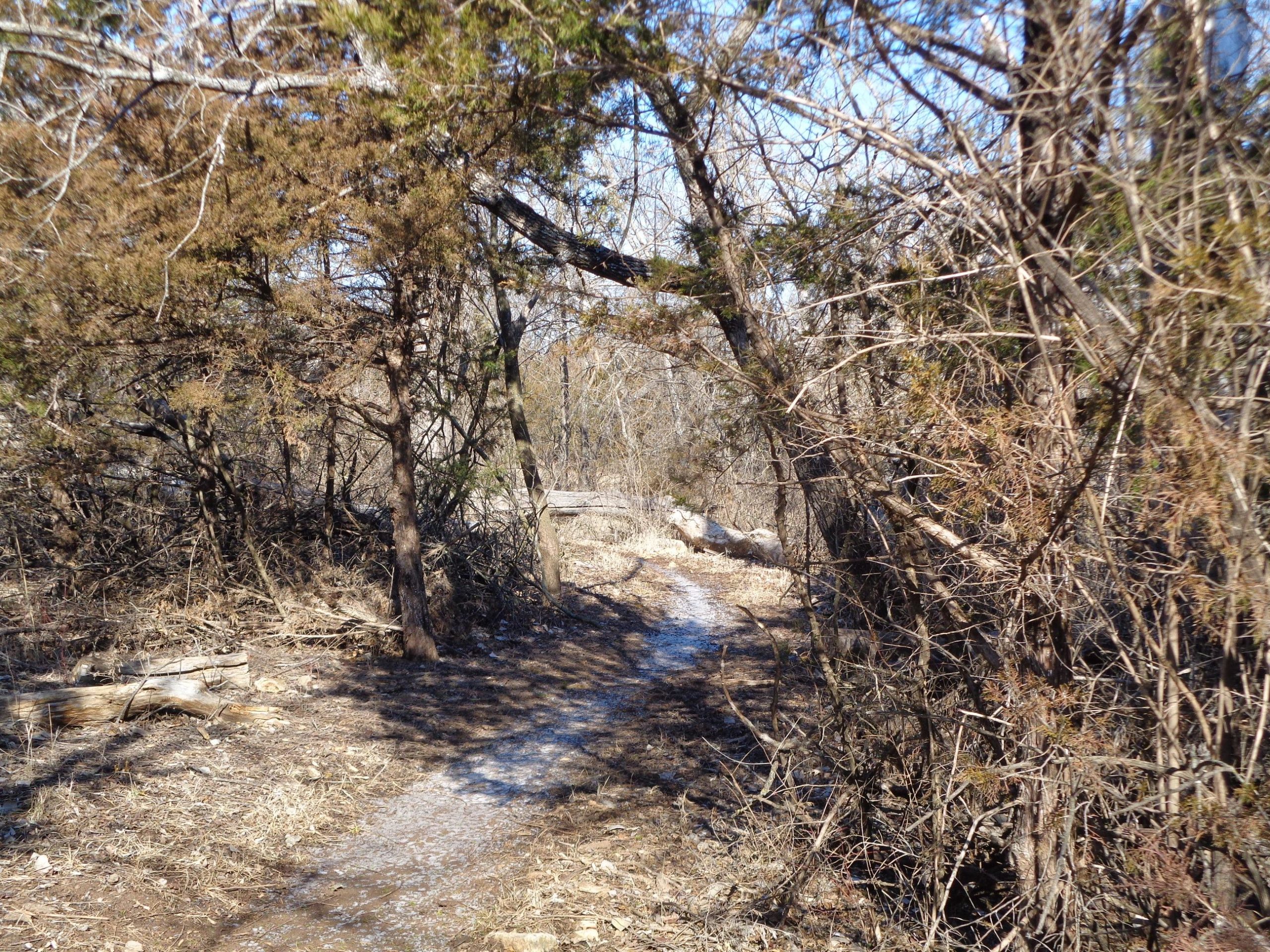 A wooded path winding through sparse trees and underbrush, with a clear sky visible above. The ground is uneven and covered with a mix of dirt and small rocks, leading deeper into the natural landscape. Santa Fe Lake Trail mountain bike trail.