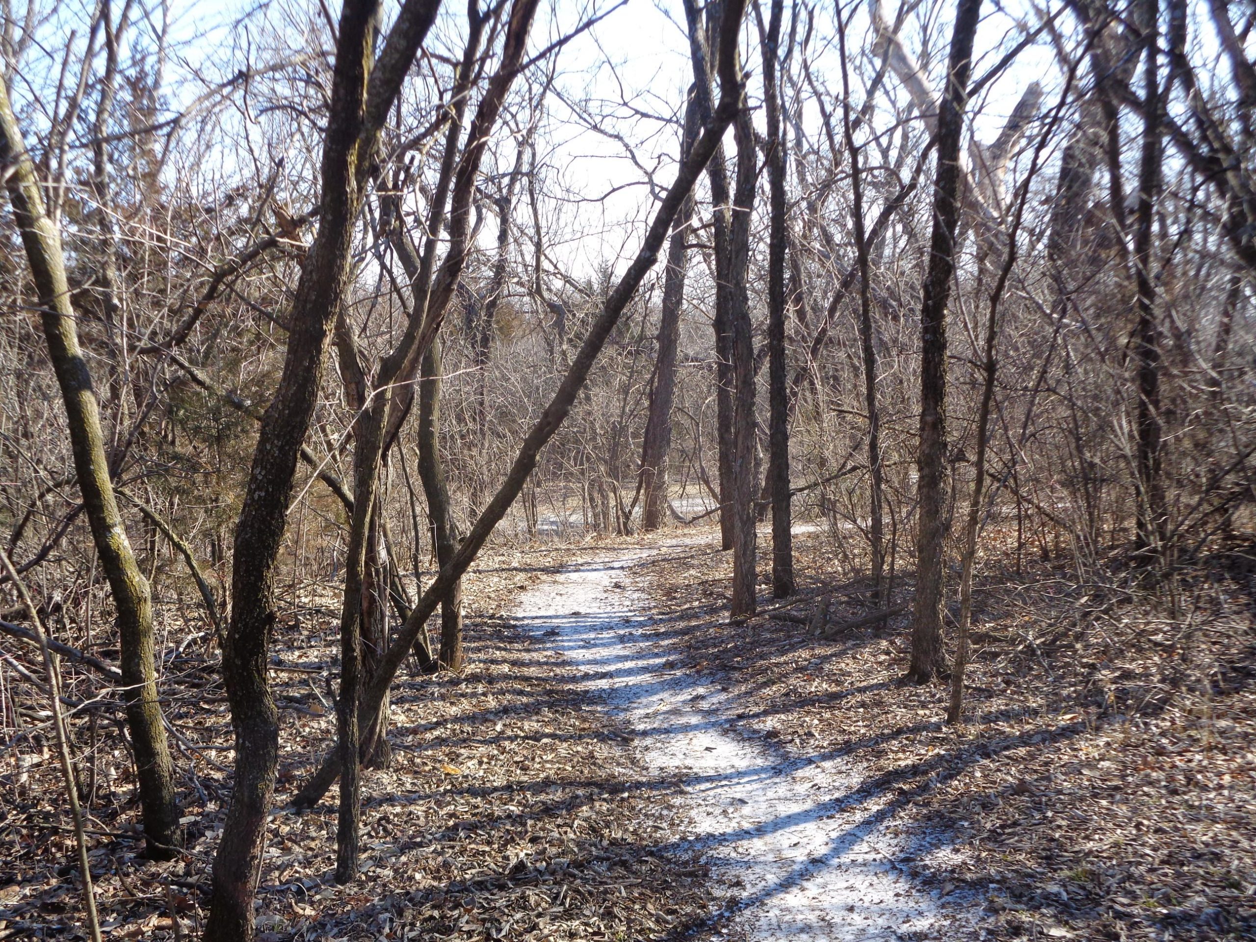 A narrow, winding trail through a barren forest in winter, with leafless trees on either side and patches of snow on the ground. The landscape is mostly dry with scattered leaves, creating a serene and quiet atmosphere. Santa Fe Lake Trail mountain bike trail.