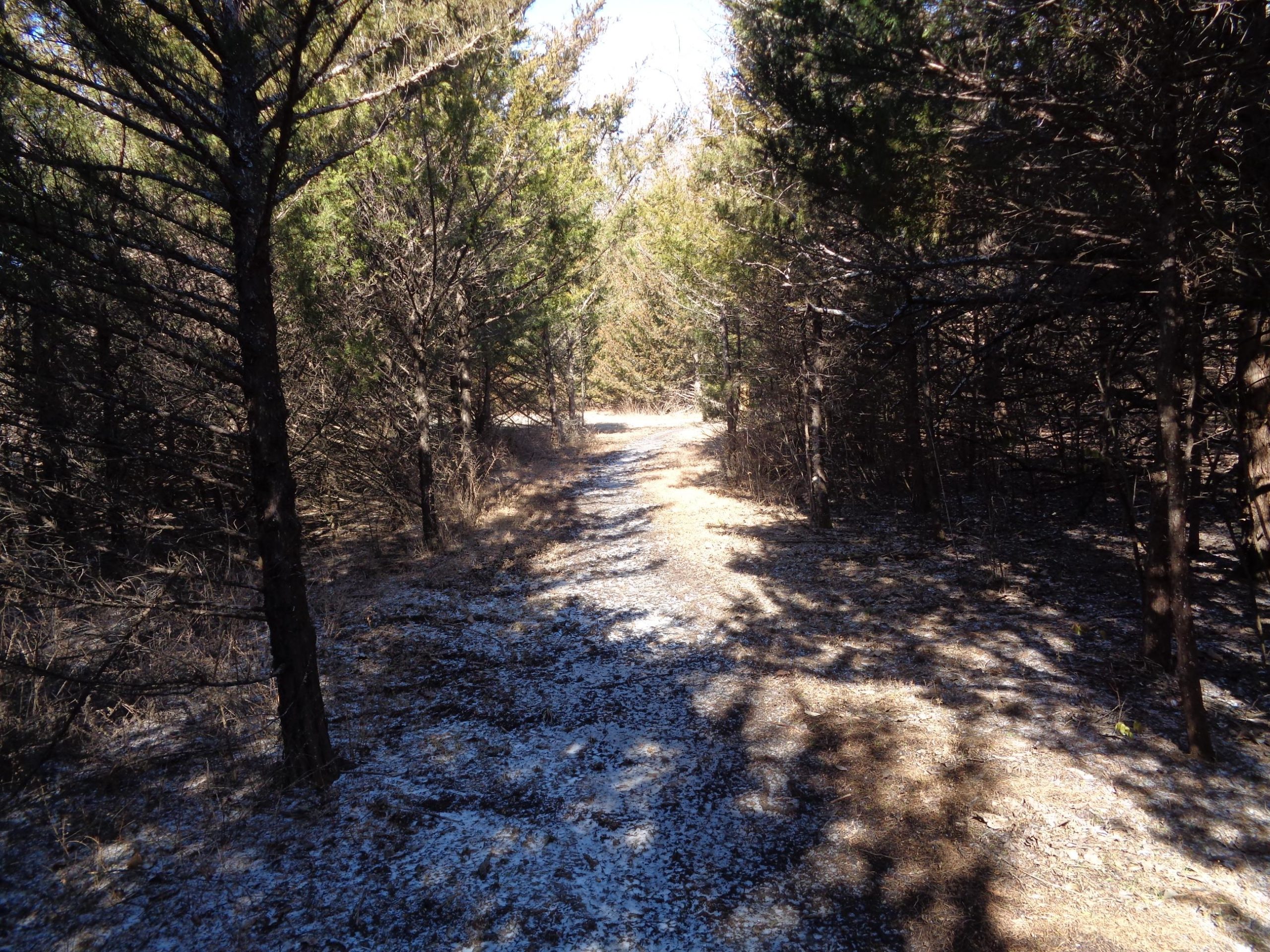 A narrow, gravel path winding through a forest, flanked by tall, leafy trees. The ground is partially covered with fallen leaves and patches of sunlight filter through the tree canopy, casting shadows on the trail. Santa Fe Lake Trail mountain bike trail.