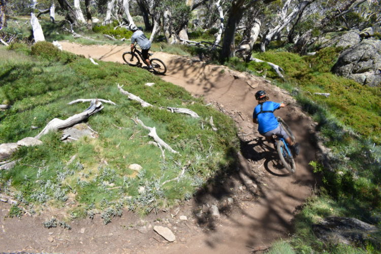 Two mountain bikers ride along a winding dirt trail in a lush green forest. The first rider, near the back, is wearing a gray shirt and a helmet, while the second rider, in a blue shirt, is leaning into a turn ahead. The landscape features grassy areas, rocks, and scattered fallen branches, with tall trees providing a canopy overhead.