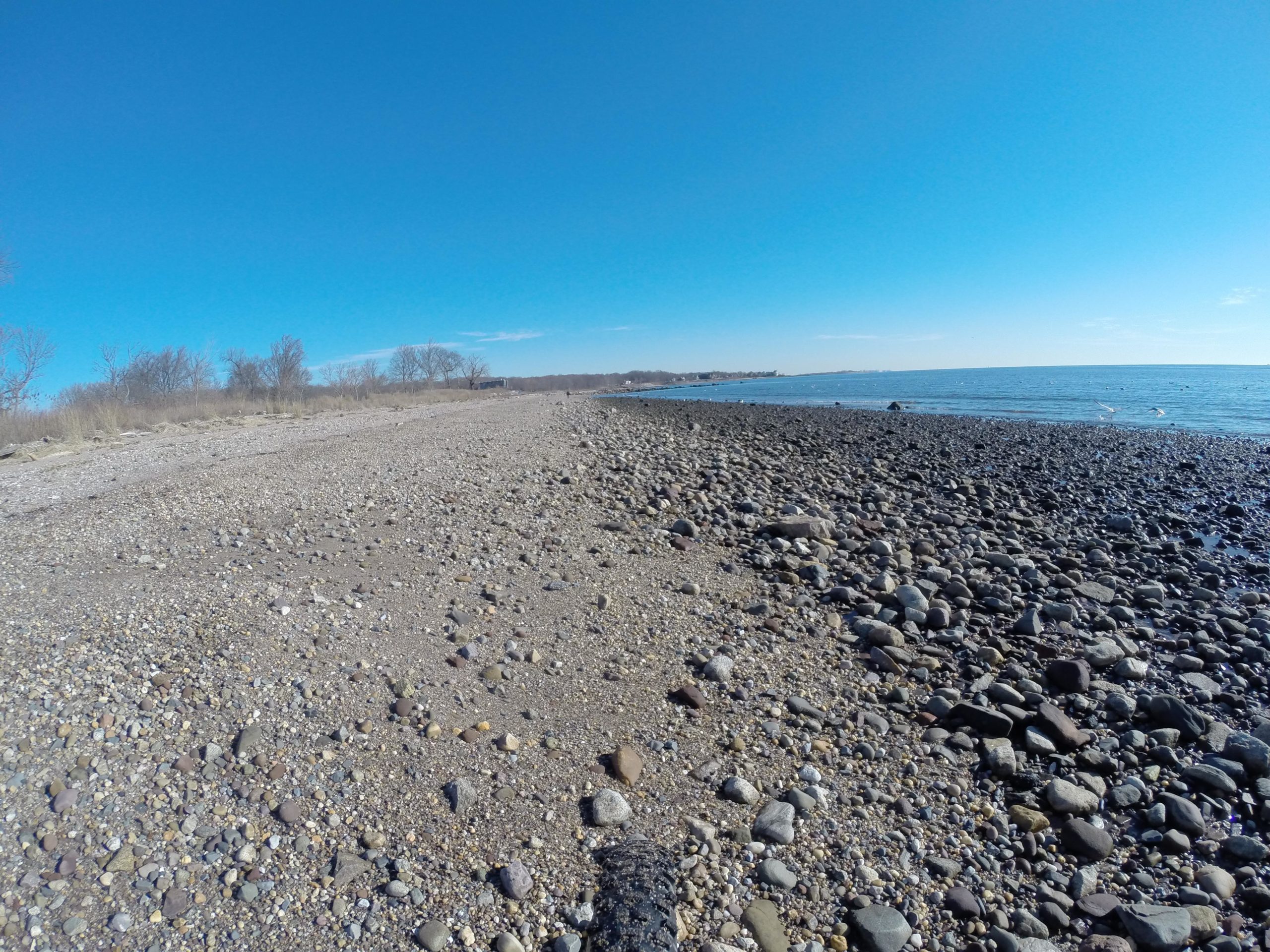 A serene beach scene featuring a rocky shore with smooth pebbles and larger stones, extending towards calm water under a clear blue sky. Sparse trees line the background, indicating a tranquil natural setting. Wolfes Pond park mountain bike trail.