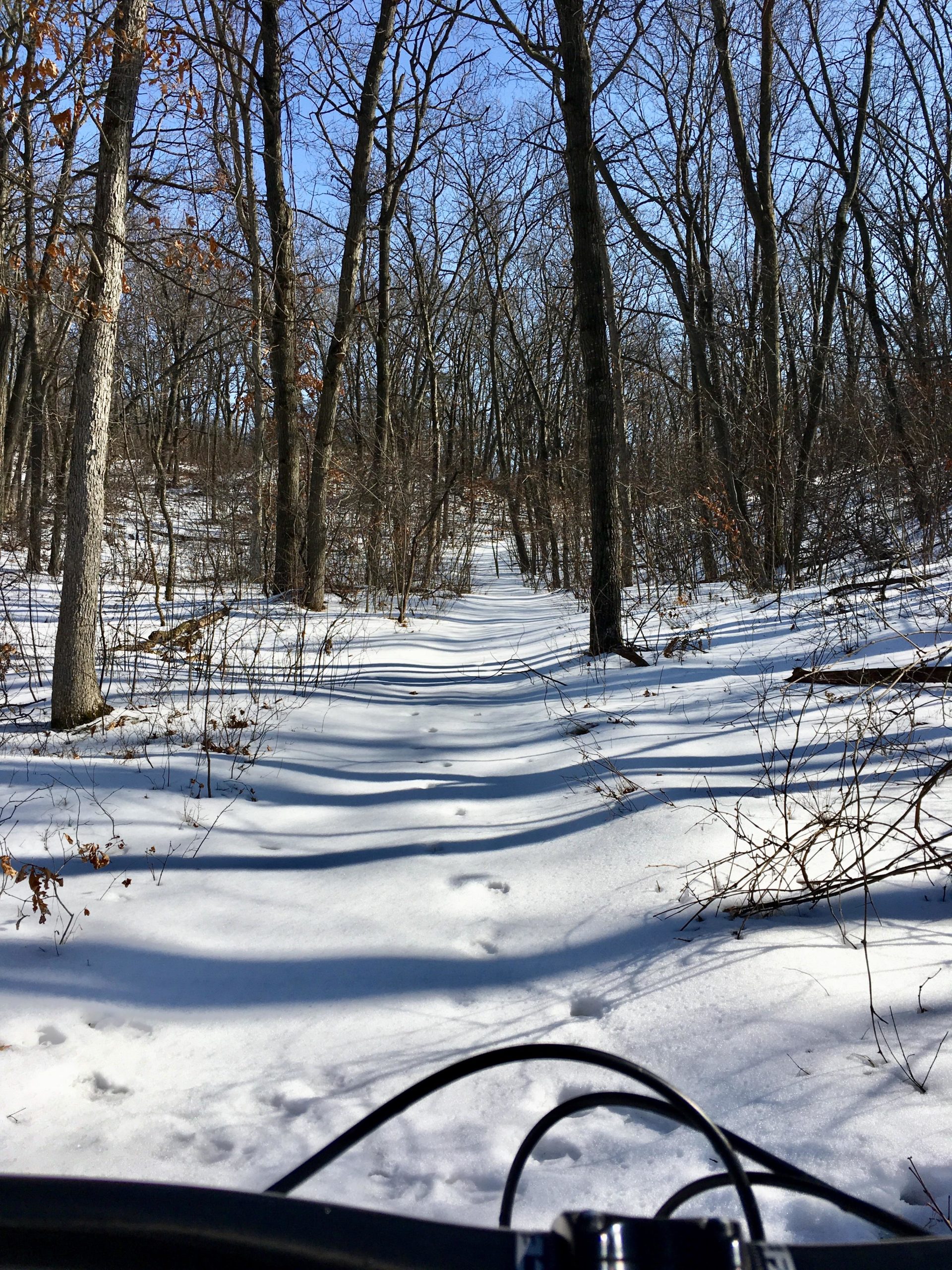 A snow-covered path winding through a forest, with bare trees lining the sides. The sky is clear blue, and tire tracks can be seen in the snow, indicating recent activity. The viewpoint is from a bicycle, with part of the bike frame and handlebars visible in the foreground. Pinery Provincial Park mountain bike trail.