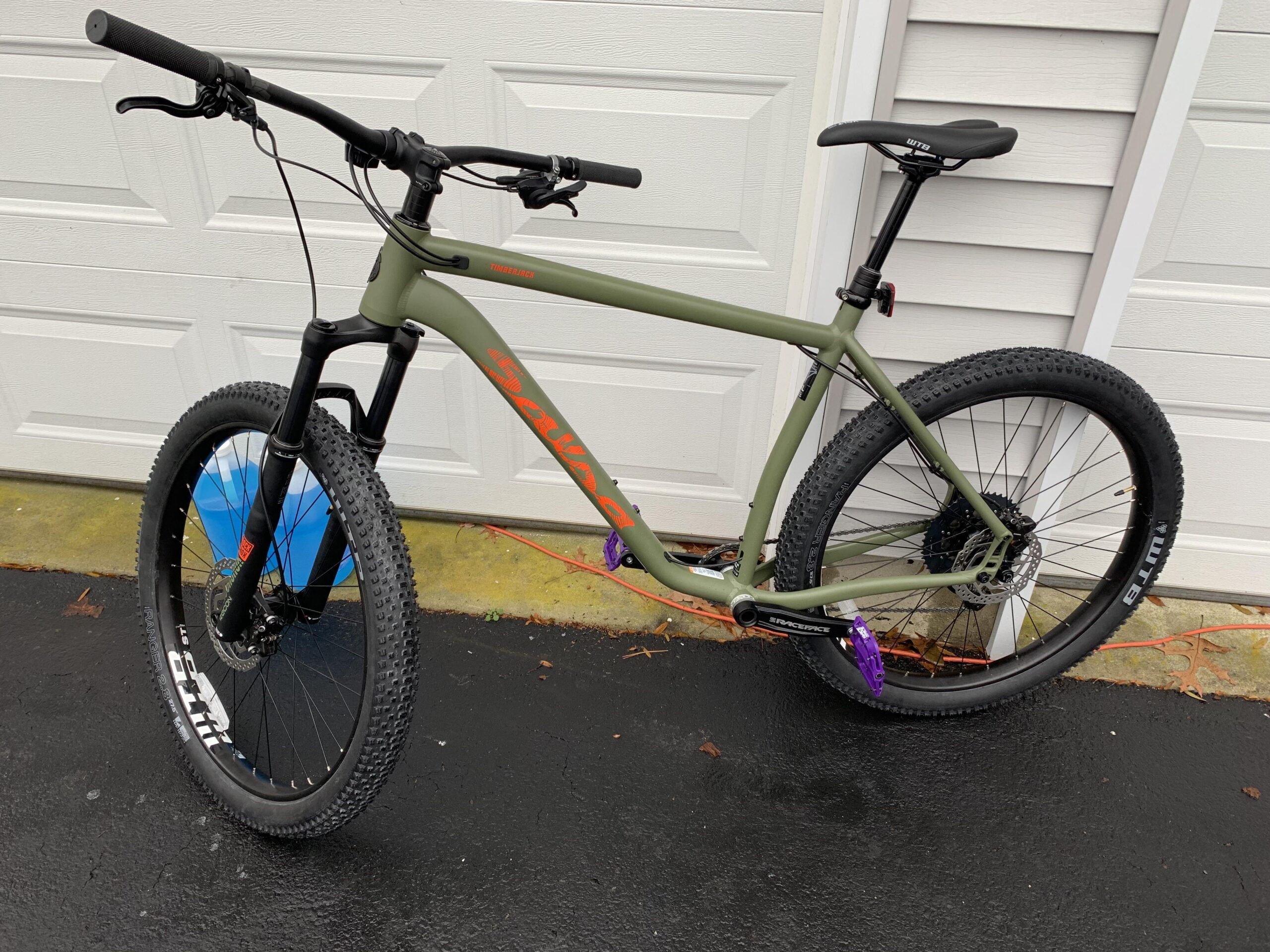 Salsa Timberjack: A green mountain bike with thick tires, front suspension, and purple pedals, positioned against a garage door and a house wall. The bike features a minimalist design with a sleek frame and a black seat.
