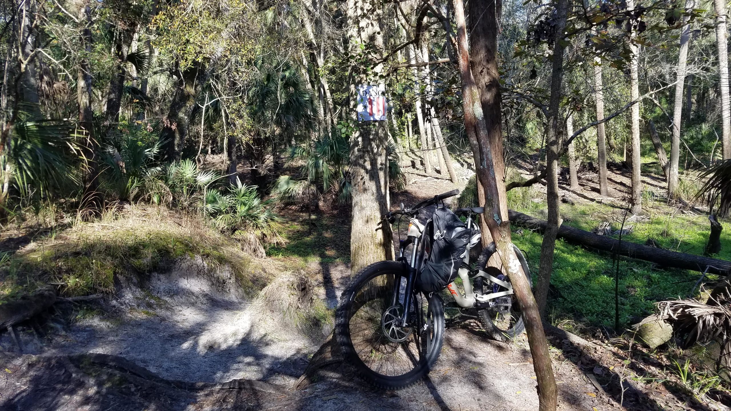A mountain bike leaning against a tree in a wooded area with lush greenery and sandy ground, featuring sunlight filtering through the trees. A sign can be seen attached to the tree in the background, indicating the presence of a trail. Little Big Econ State Forest mountain bike trail.