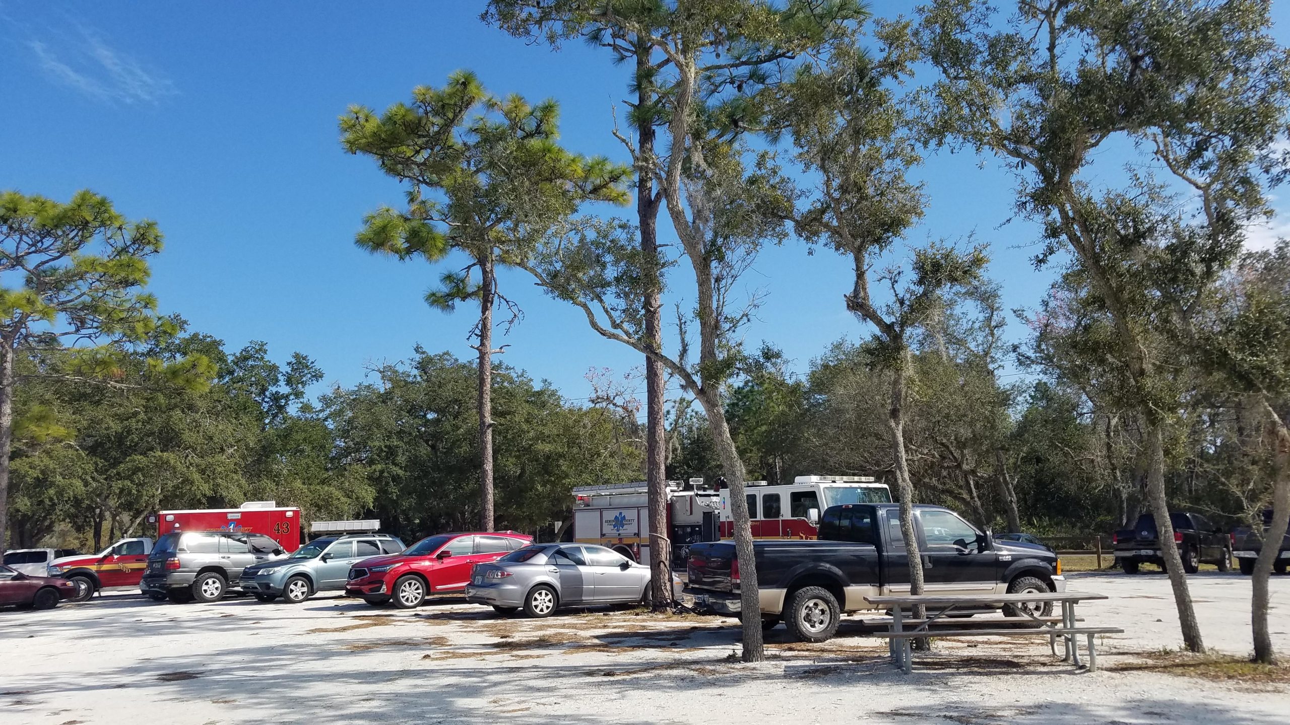A parking lot with several parked cars, including a red fire truck and an emergency vehicle, surrounded by pine and oak trees under a clear blue sky. A picnic table is visible in the foreground. Little Big Econ State Forest mountain bike trail.
