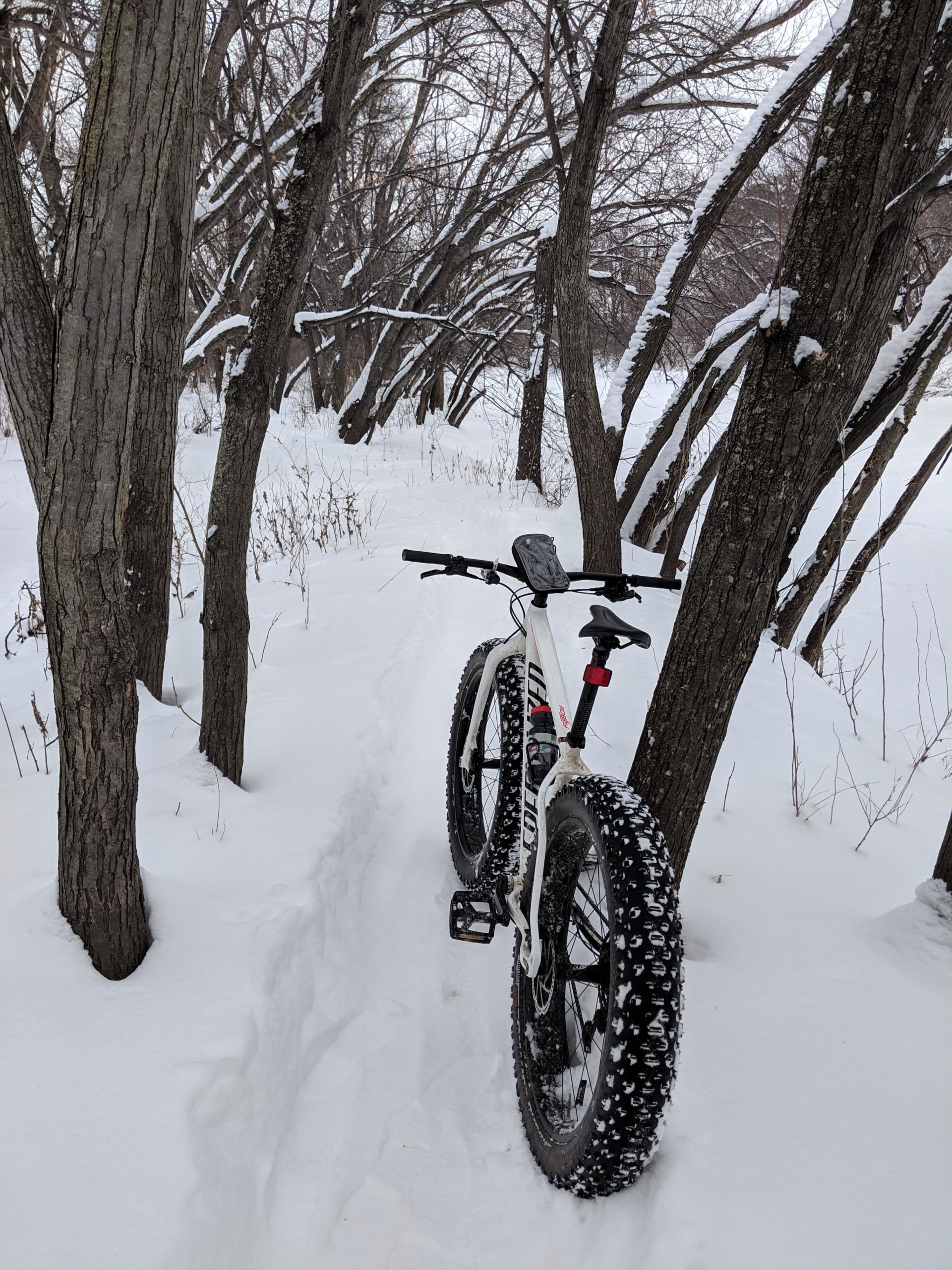 A fat bike resting on a snowy path surrounded by bare trees in winter, with snow covering the ground and tree branches. Yankton Trail Singletrack mountain bike trail.