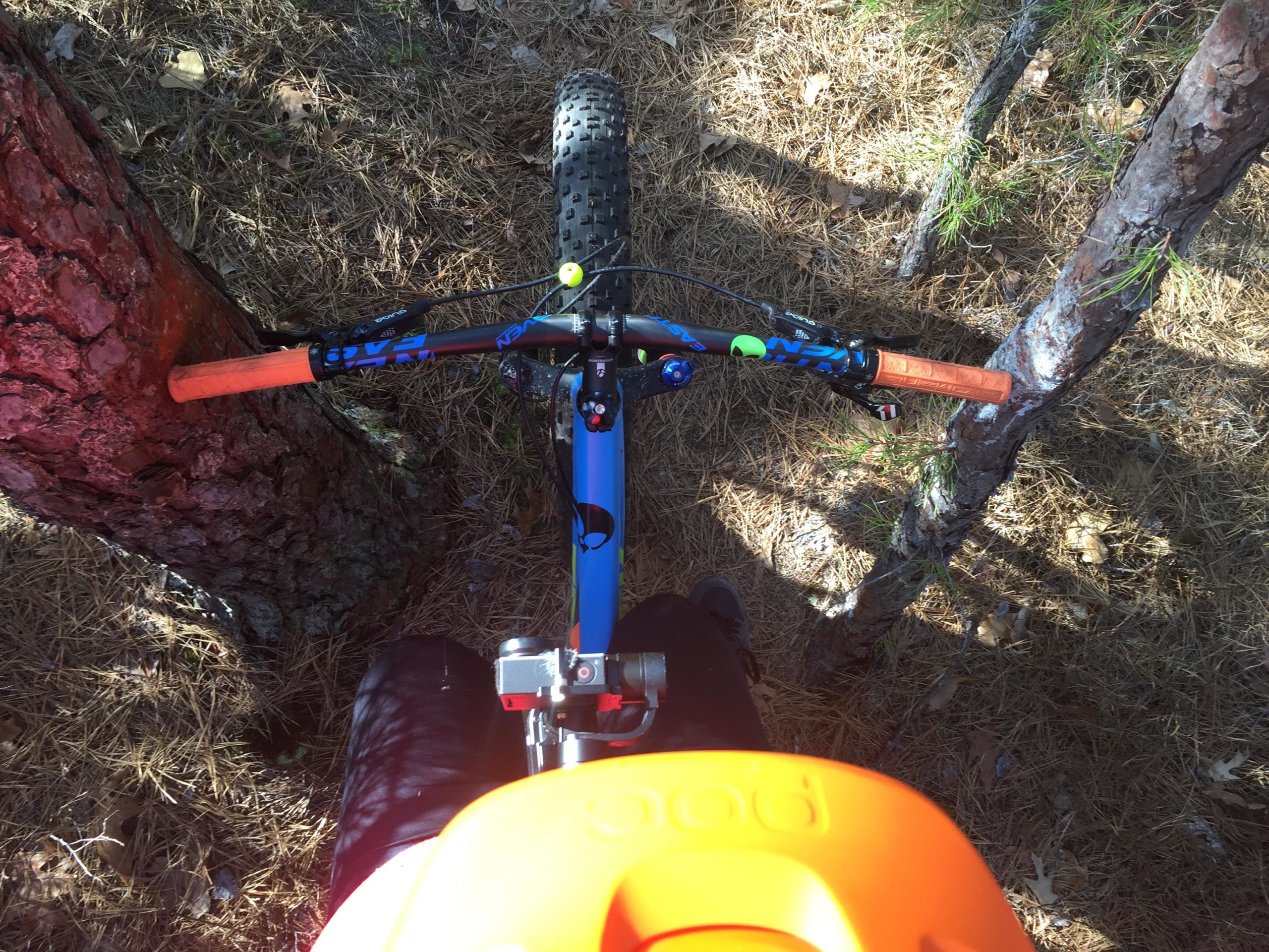 A top-down view of a mountain bike positioned between two trees in a forest setting, showcasing the handlebars with orange grips, a bright orange helmet, and the ground covered in pine needles. Wharton State Forest mountain bike trail.