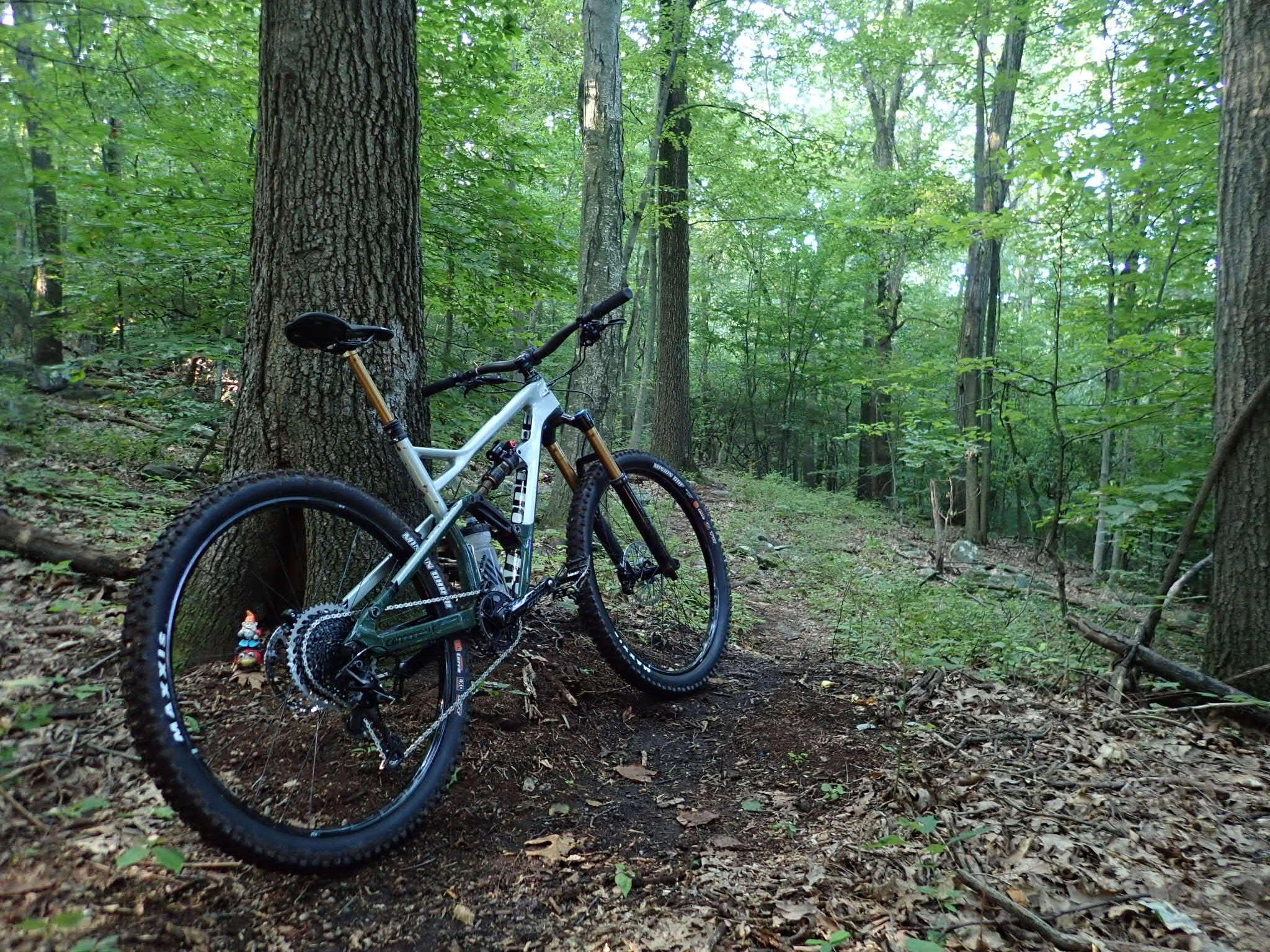 Cannondale Jekyll: A mountain bike leaning against a tree in a lush green forest, surrounded by tall trees and undergrowth. The ground is covered with leaves and dirt, and a small gnome figure is visible nearby.