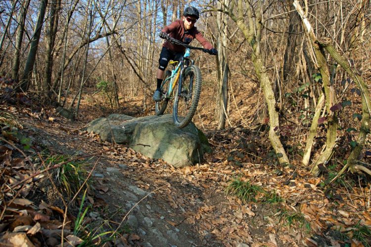 A mountain biker in a brown jacket and helmet jumps off a large rock along a forest trail, surrounded by trees and fallen leaves. The ground is uneven and natural, indicating a rugged outdoor setting. The sunlight filters through the branches, creating a dynamic atmosphere.
