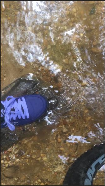 A close-up view of a purple sneaker partially submerged in shallow water, surrounded by small pebbles and rocks. There is a ripple effect in the water, indicating movement. A bicycle tire is slightly visible in the background. Arundel HS Trails mountain bike trail.
