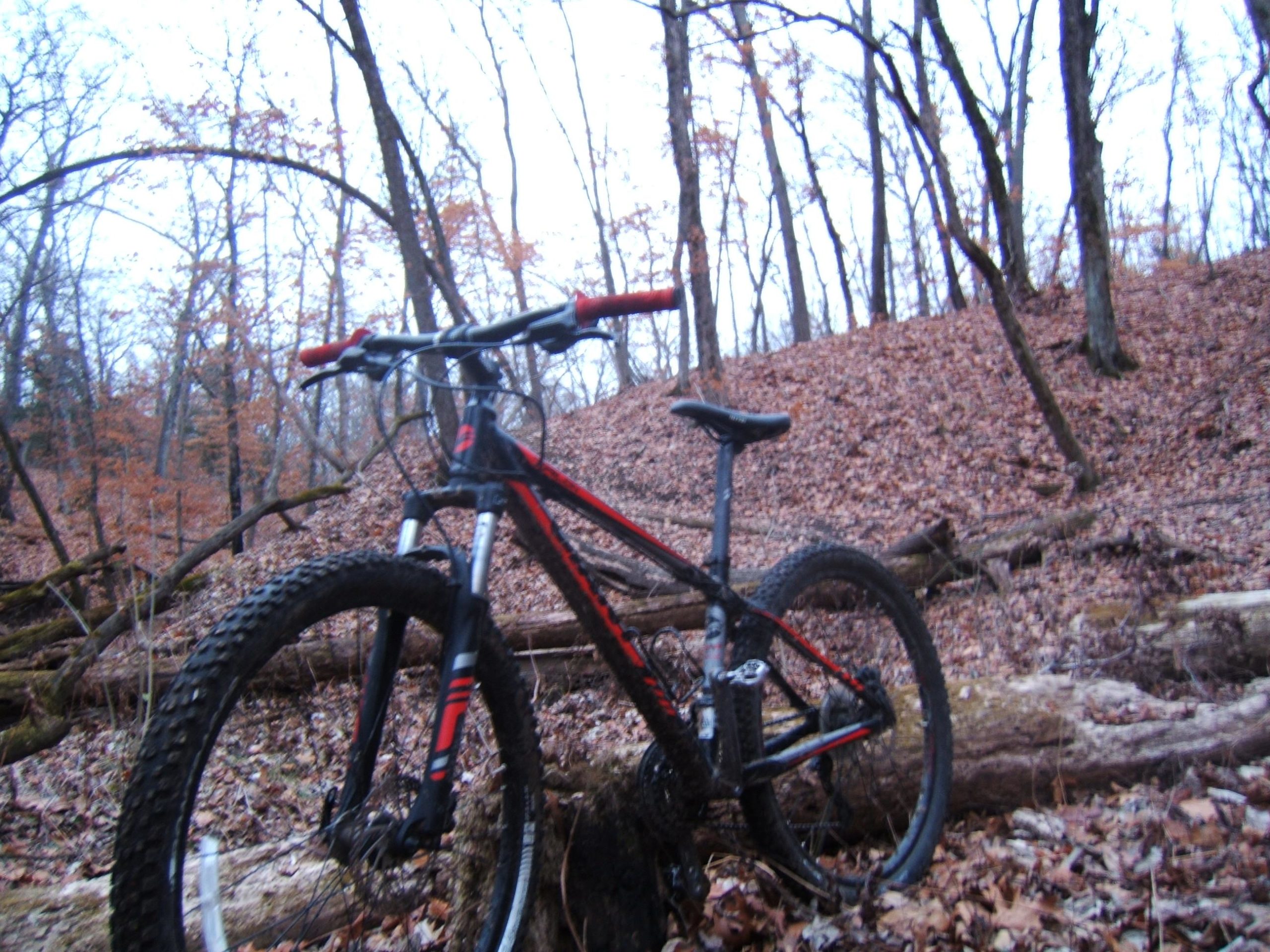A mountain bike leaning against a fallen log in a wooded area, surrounded by autumn leaves and bare trees. The bike features a black and red frame, with thick tires suitable for rugged terrain. The background shows a hilly landscape, indicating a natural, outdoor setting. Gunn Park Trails mountain bike trail.