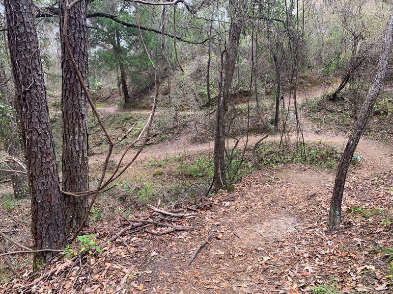 A winding dirt path through a wooded area, framed by tall trees and scattered leaves on the ground. The trail curves gently and is surrounded by shrubbery, indicating a natural, serene outdoor setting. Santos mountain bike trail.