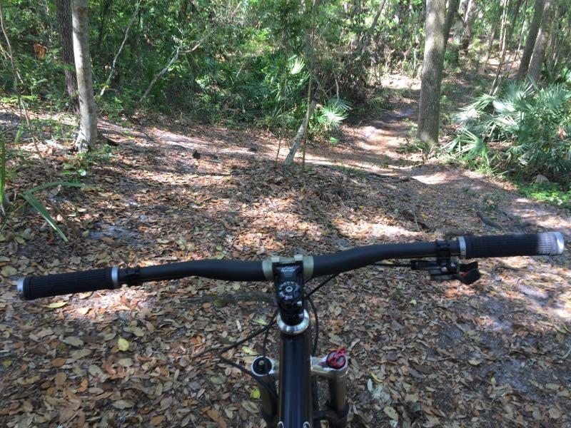 View from the handlebars of a mountain bike on a dirt trail surrounded by trees. The ground is covered with fallen leaves, and a narrow path leads through the foliage in the background. Kathryn Abby Hanna Park mountain bike trail.