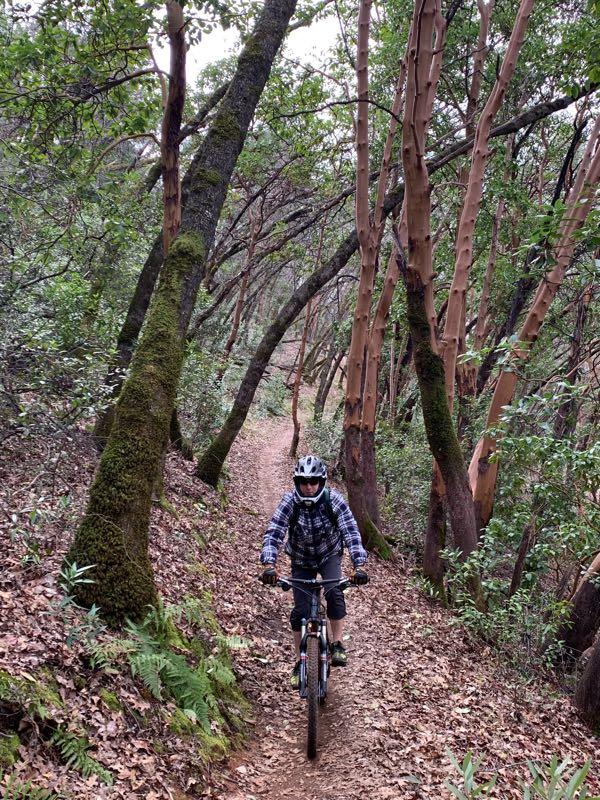 A person riding a mountain bike on a narrow dirt trail surrounded by tall trees in a lush forest. The cyclist is wearing a helmet, plaid jacket, and knee protection. The ground is covered with fallen leaves and the scene conveys a sense of adventure in nature. Foresthill Divide mountain bike trail.
