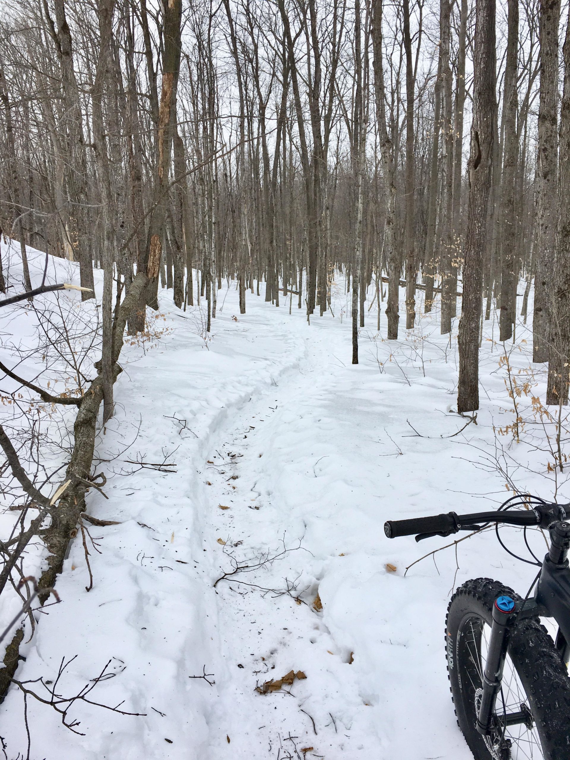 A winter scene featuring a snow-covered bike trail winding through a forest of bare trees. On the right side, part of a fat tire bike is visible, parked next to the path. The surroundings are serene, with a layer of snow blanketing the ground and some fallen branches scattered along the trail. South March Highlands mountain bike trail.