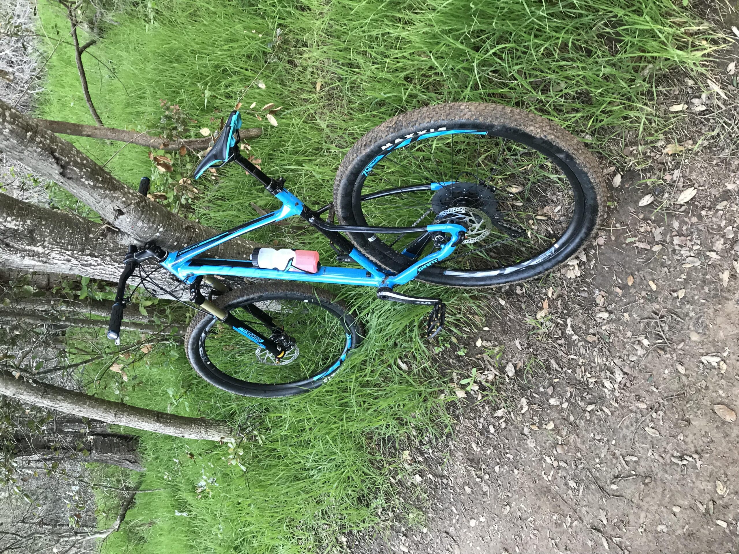 Giant Talon 29er 1: A blue mountain bike resting against a tree, positioned on a dirt path surrounded by lush green grass and scattered leaves. The bike features a water bottle holder and has a muddy tire, indicating recent use on a trail.