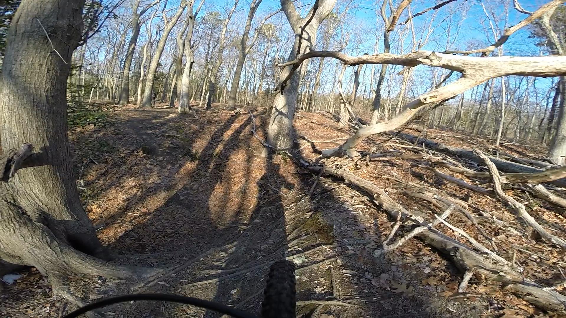 A narrow dirt trail winding through a forest with bare trees and scattered fallen branches. The ground is covered in dried leaves, and the sunlight casts long shadows across the path, creating a serene yet rugged outdoor scene. Allaire State Park mountain bike trail.