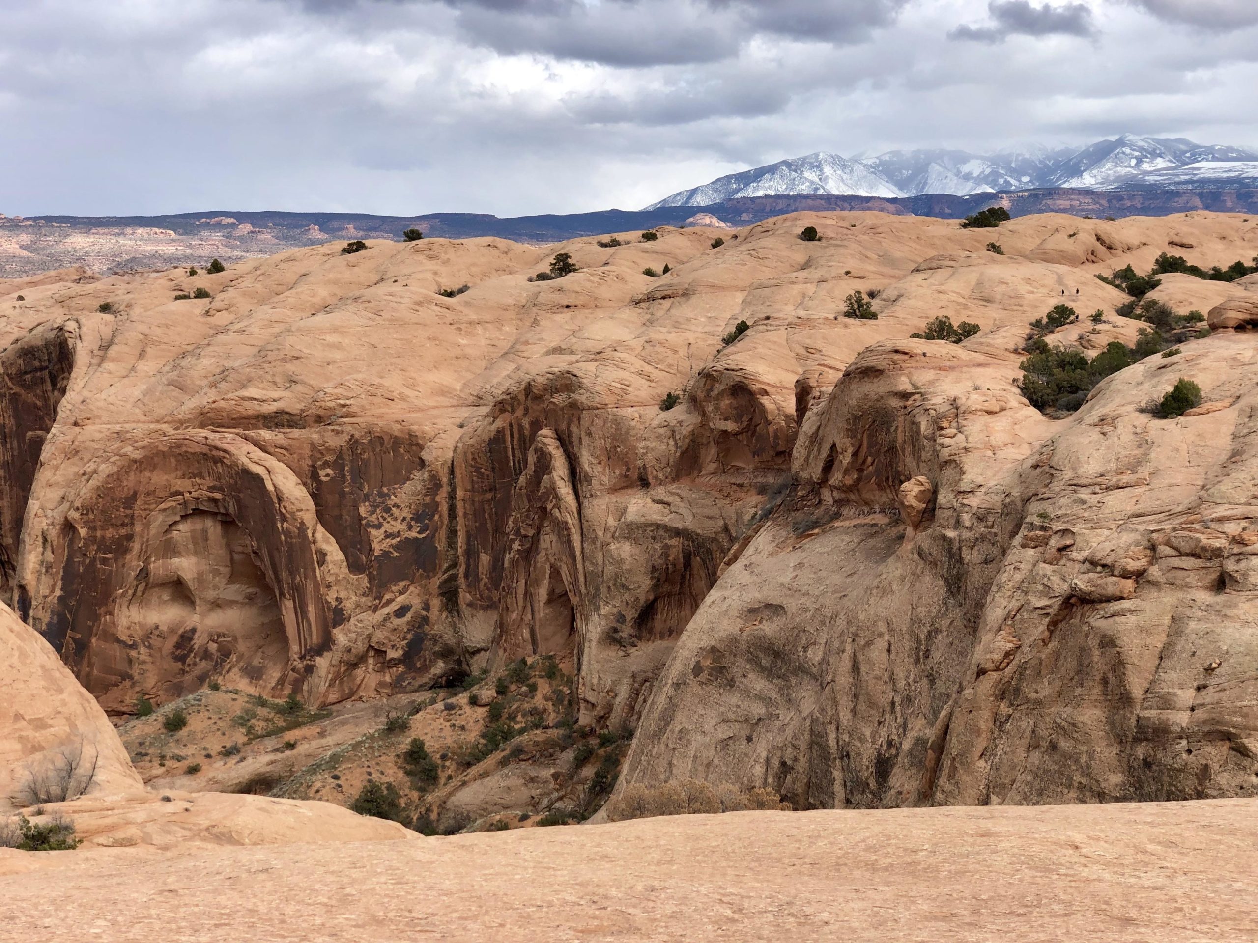 A rugged landscape of sandstone formations with rolling hills, small clumps of vegetation, and distant snowy mountains under a cloudy sky. Slickrock mountain bike trail.