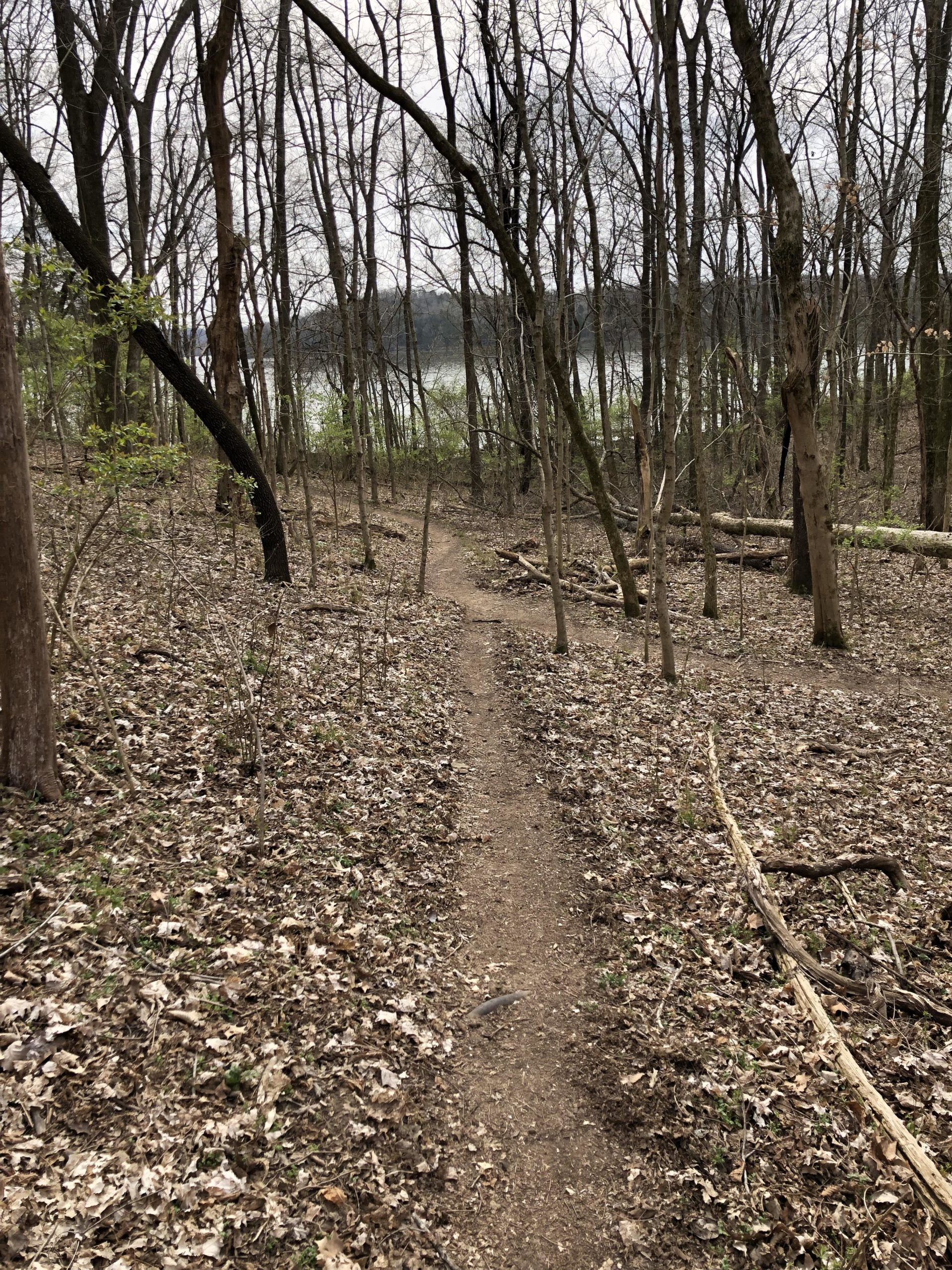 A narrow dirt path winding through a wooded area, lined with leafless trees and scattered dried leaves on the ground. In the background, a glimpse of a body of water can be seen through the trees, under a cloudy sky. Lock 4 mountain bike trail.