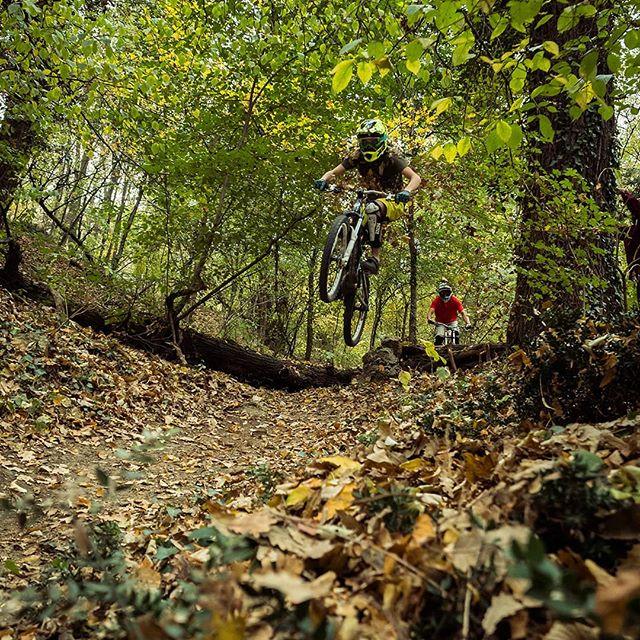 Two mountain bikers riding through a wooded area, with one biker airborne over a fallen log while the other follows closely behind. The ground is covered in autumn leaves, and the trees are lush with green foliage. Bike Park Josutnjak mountain bike trail.