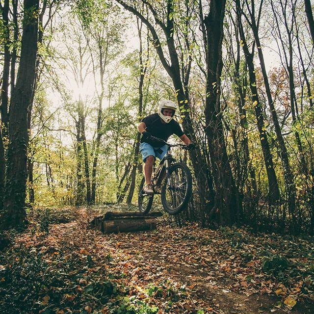 A cyclist in a helmet jumps over a log on a mountain bike, surrounded by trees and autumn foliage in a sunlit forest. Bike Park Josutnjak mountain bike trail.