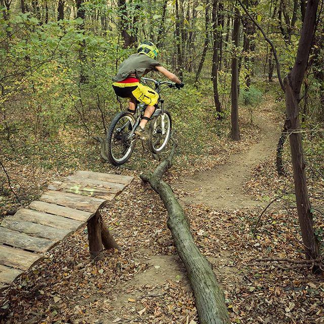 A young cyclist in a helmet jumps over a log while riding a mountain bike on a dirt trail in a wooded area, surrounded by trees and fallen leaves. Bike Park Josutnjak mountain bike trail.