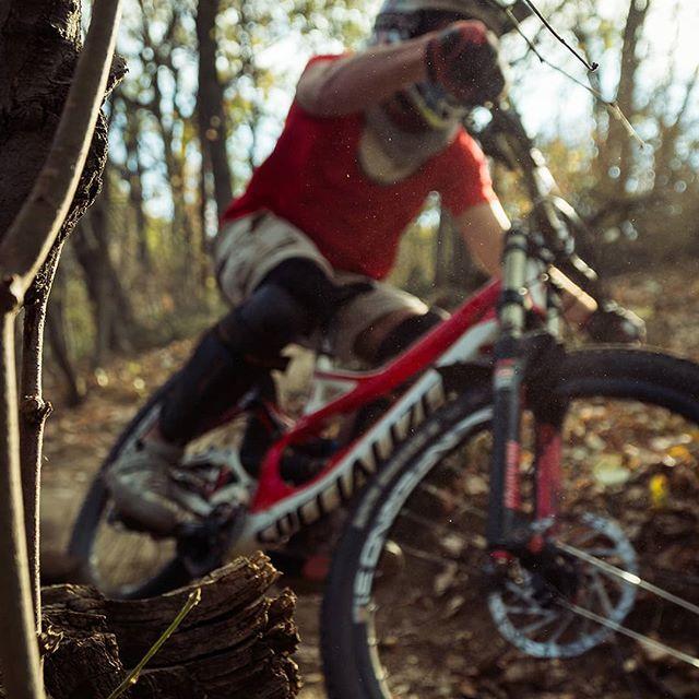 A mountain biker in a red shirt maneuvers around a tree branch on a dirt trail surrounded by autumn foliage, capturing the motion and excitement of the ride. Bike Park Josutnjak mountain bike trail.