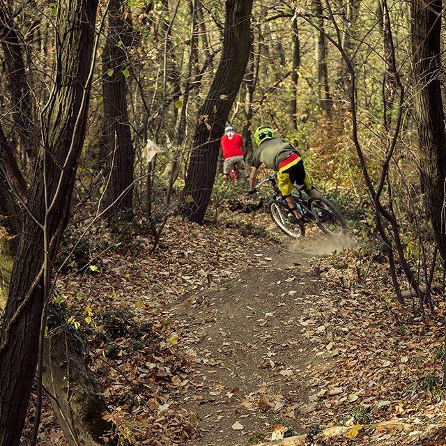 Two mountain bikers navigating a winding trail through a wooded area covered in autumn leaves. One cyclist is in the foreground, leaning into a turn, while the other is further back, riding behind a tree. The scene captures the vibrant colors of fall foliage and the excitement of outdoor biking. Bike Park Josutnjak mountain bike trail.
