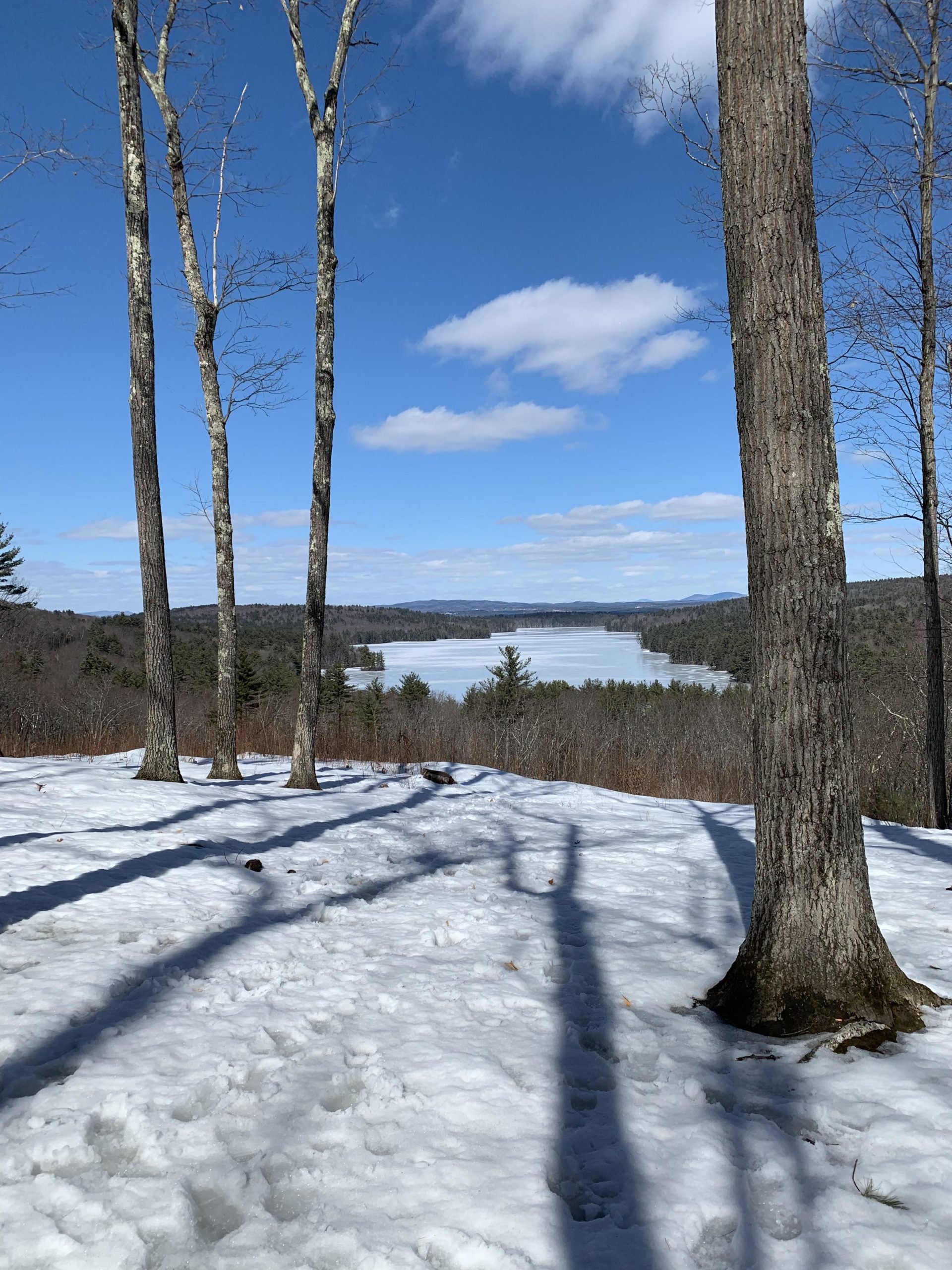 A winter landscape featuring a view of a frozen lake surrounded by forested hills under a clear blue sky. In the foreground, bare trees stand on snow-covered ground, casting long shadows. Fluffy clouds drift in the sky, creating a serene and tranquil atmosphere. Hospital Trails mountain bike trail.