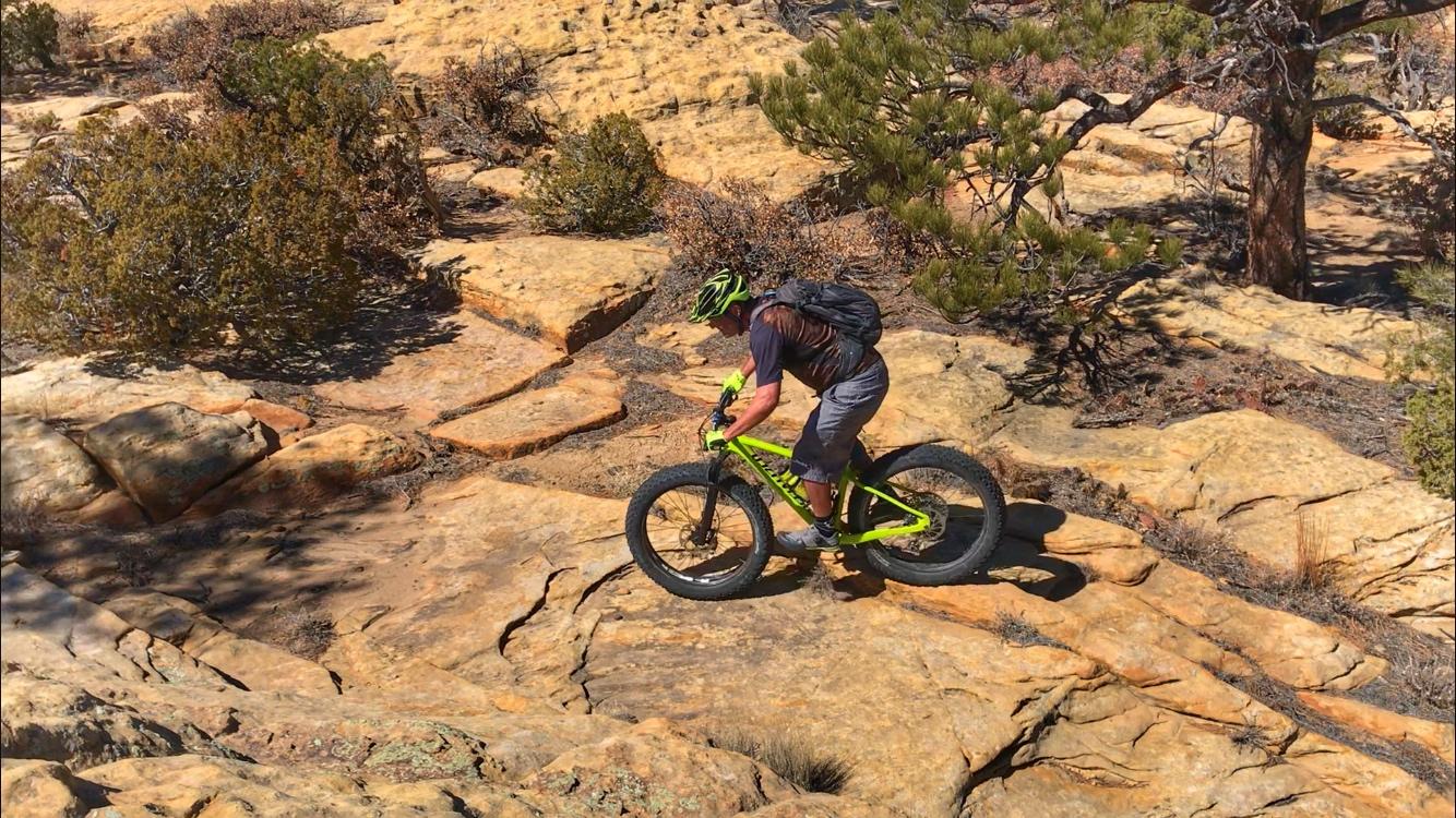 A mountain biker riding a fat bike over rocky terrain, surrounded by sparse vegetation and trees. The cyclist is wearing a helmet and a backpack, showcasing an adventurous outdoor activity in a sunny environment. Red Mesa mountain bike trail.