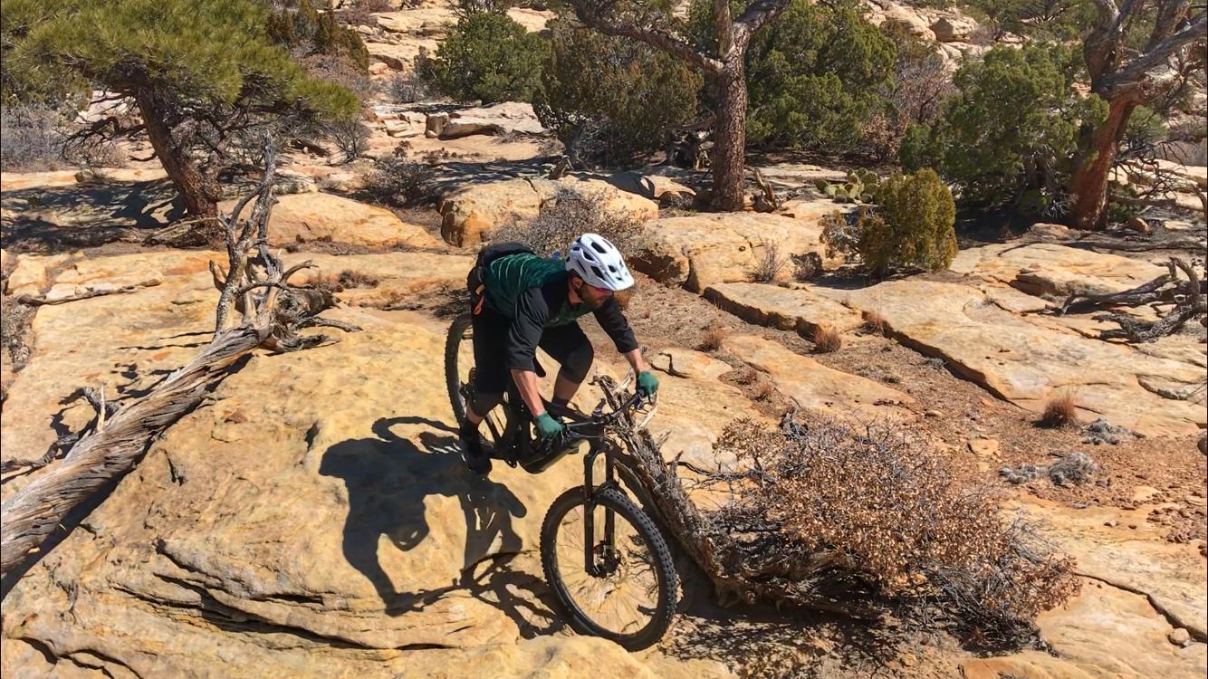 A mountain biker navigating a rocky terrain on a sunlit path, surrounded by sparse shrubs and trees. The cyclist is wearing a helmet and cycling gear, demonstrating skill and focus as they tackle the uneven surface. Red Mesa mountain bike trail.