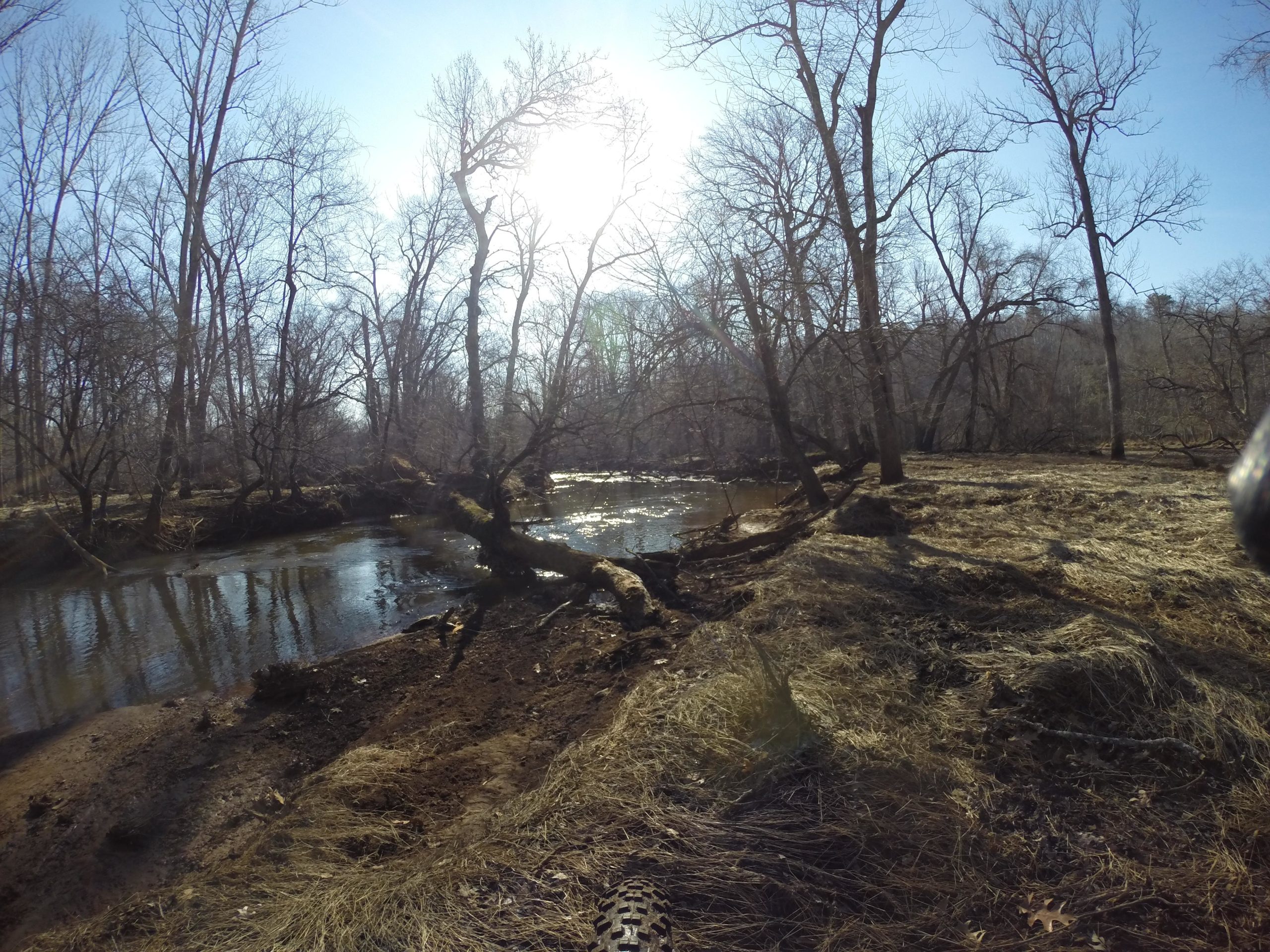 A serene landscape featuring a calm stream bordered by leafless trees under a clear blue sky. The sunlight filters through the branches, casting soft reflections on the water's surface. The ground is covered with patches of dry grass and exposed earth, suggesting early spring or late winter conditions. Allaire State Park mountain bike trail.