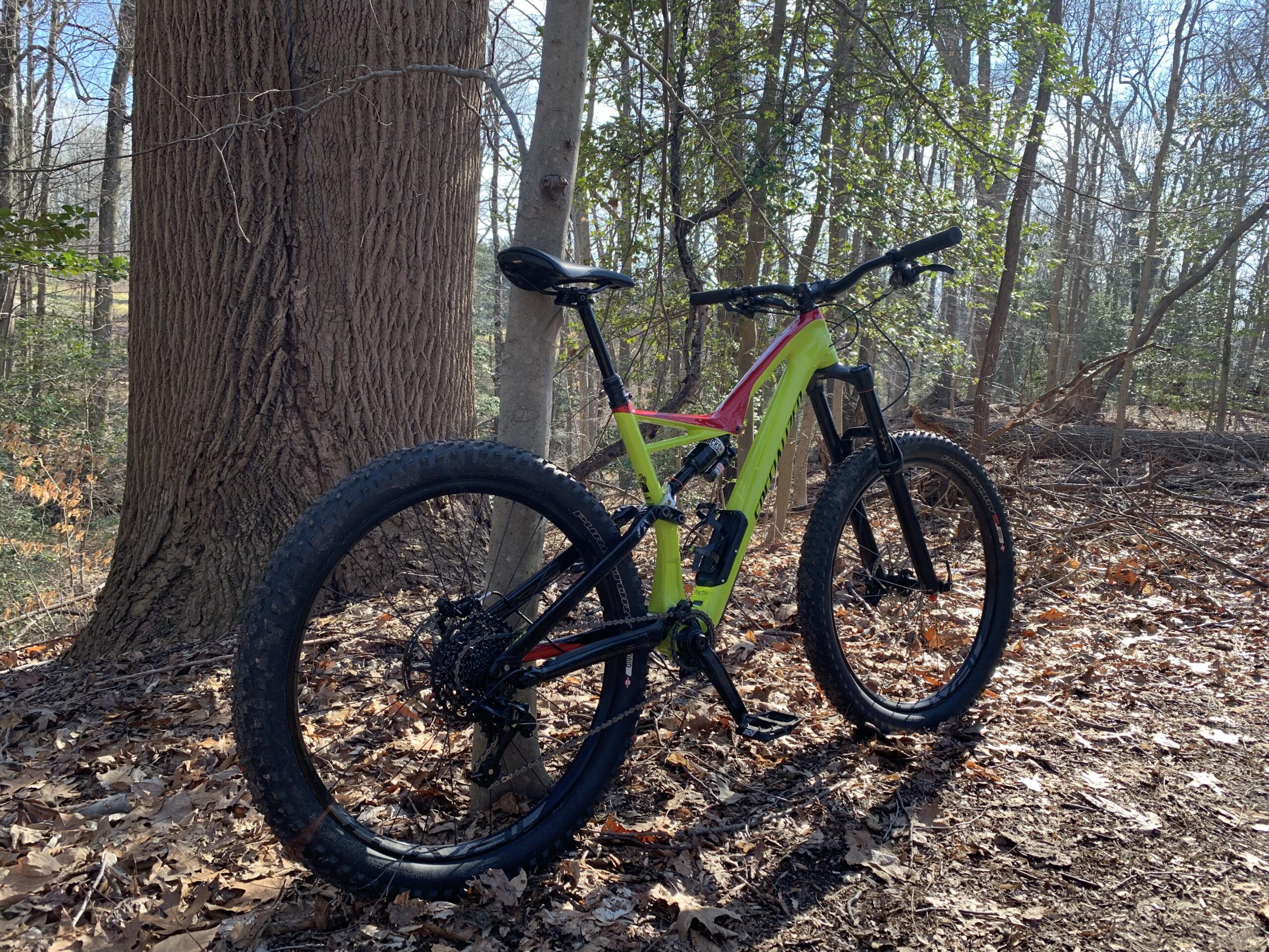 Specialized Stumpjumper FSR 6Fattie: A brightly colored mountain bike, primarily in green and red, leaning against a large tree in a wooded area. The bike features thick tires and a sturdy frame, positioned on a ground covered with dried leaves and small twigs. Sunlight filters through the trees in the background, creating a natural outdoor setting.
