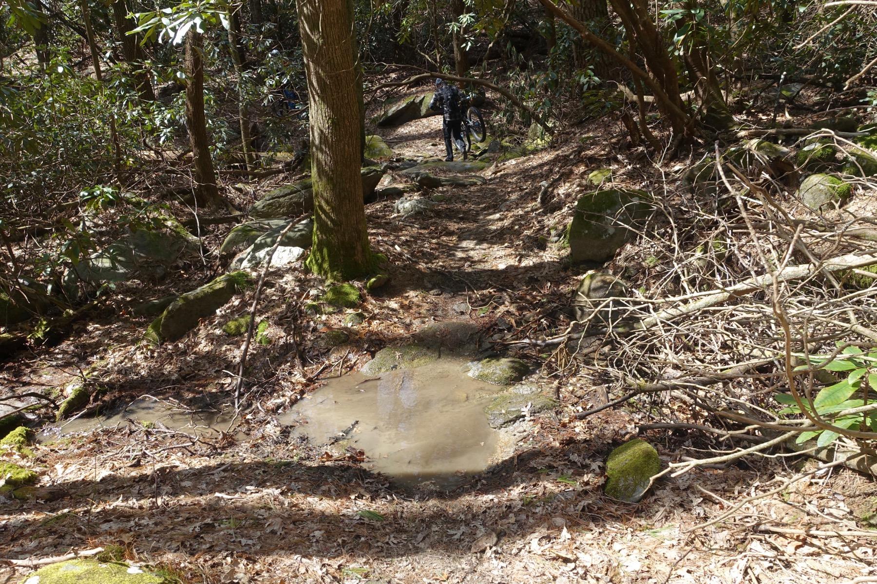A narrow, rugged trail winding through a forested area, featuring moss-covered rocks and scattered twigs and leaves on the ground. In the background, a person is seen carrying a bicycle, navigating the terrain. Sunlight filters through the trees, highlighting the natural beauty of the scene. Windy Gap Trail mountain bike trail.